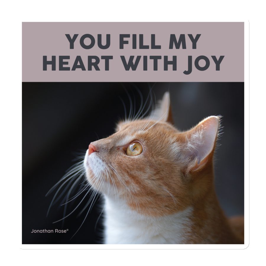 You fill my heart with joy Magnet