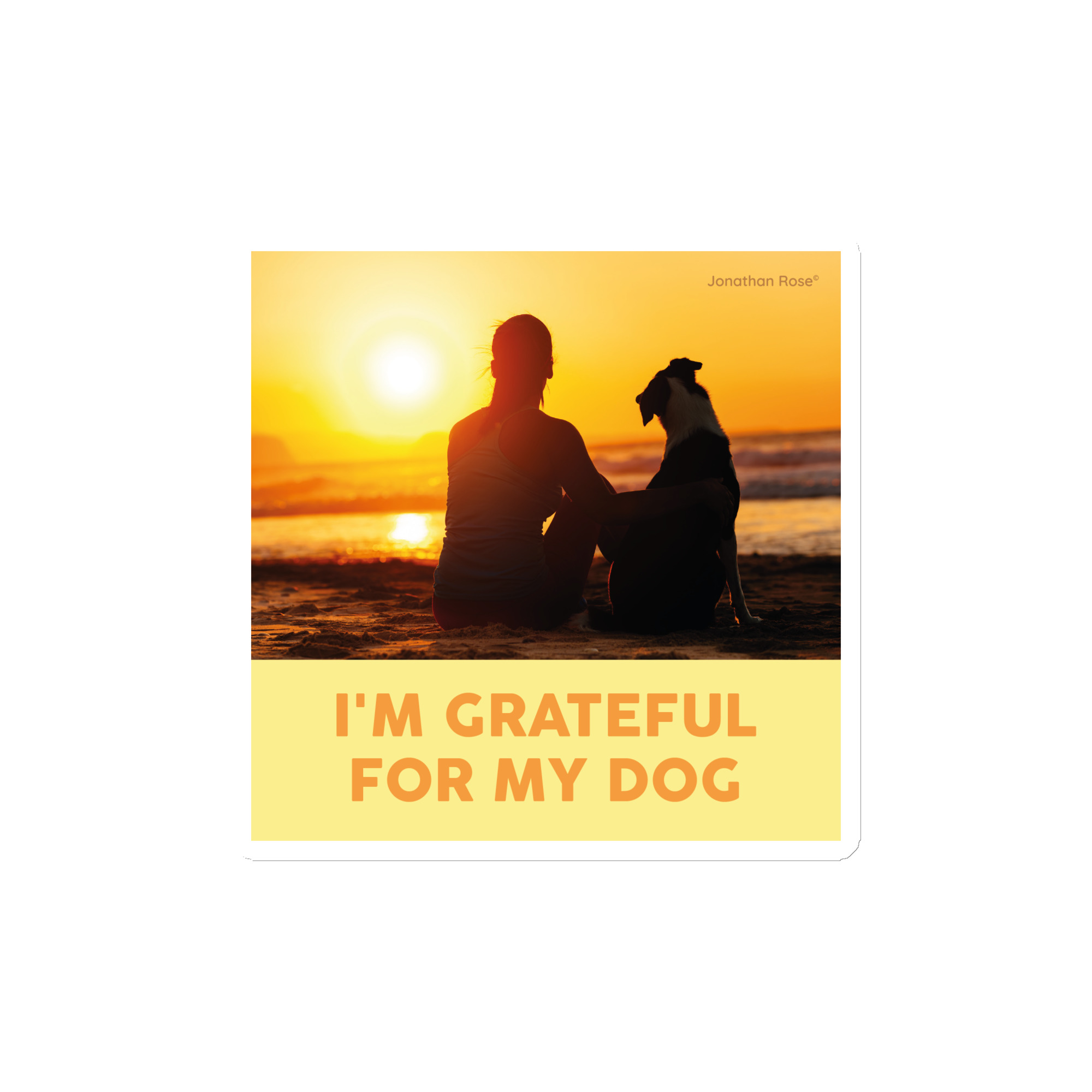 I'm grateful for my dog Magnet - Image 2