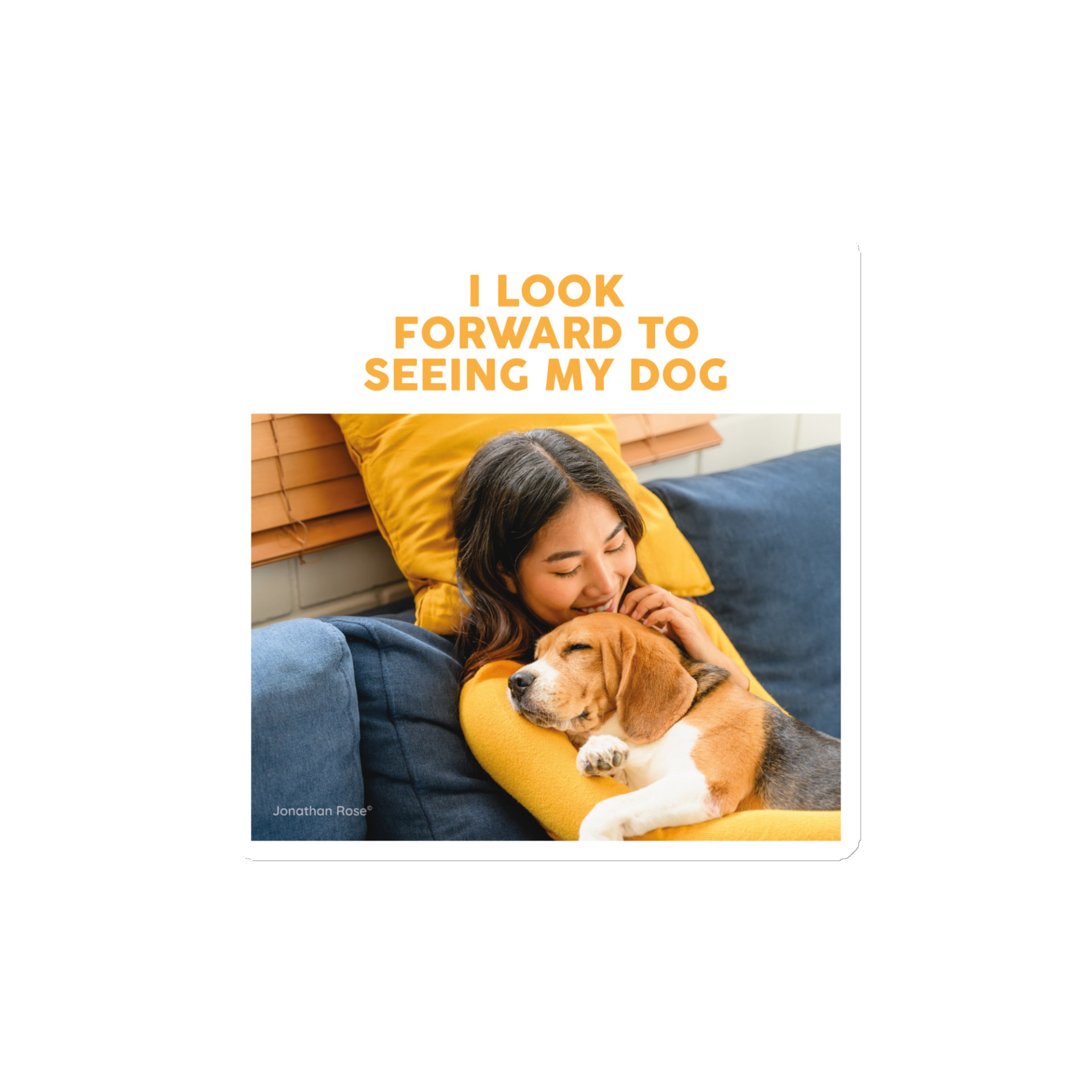 I look forward to seeing my dog Magnet - Image 2