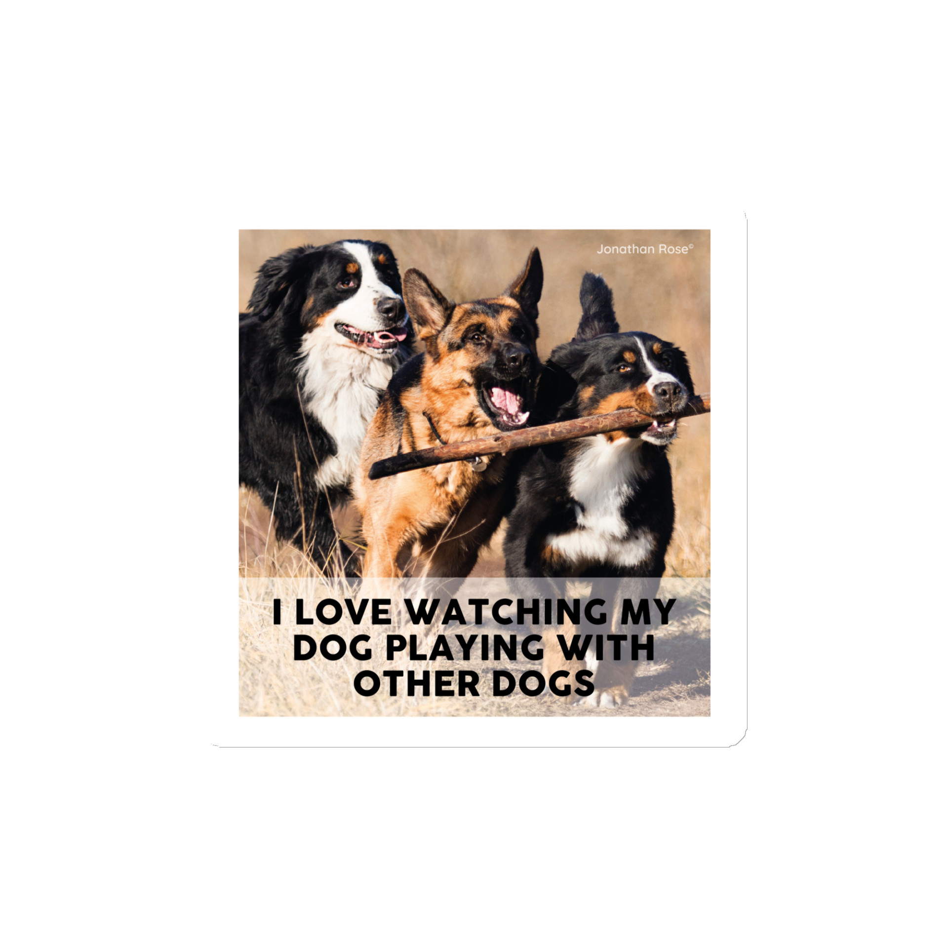 I love watching my dog playing with other dogs Magnet - Image 2