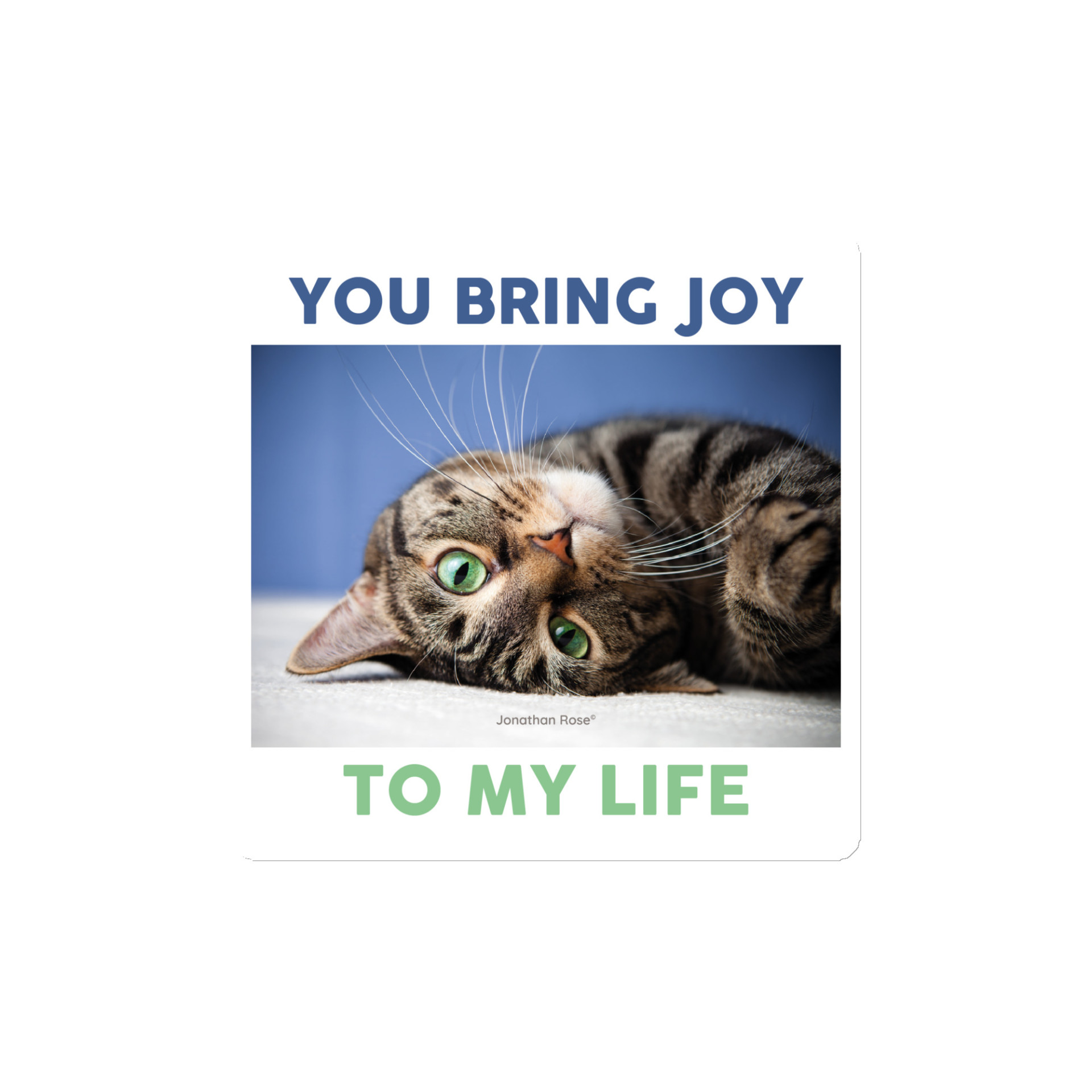 You bring joy to my life - cat Magnet - Image 2