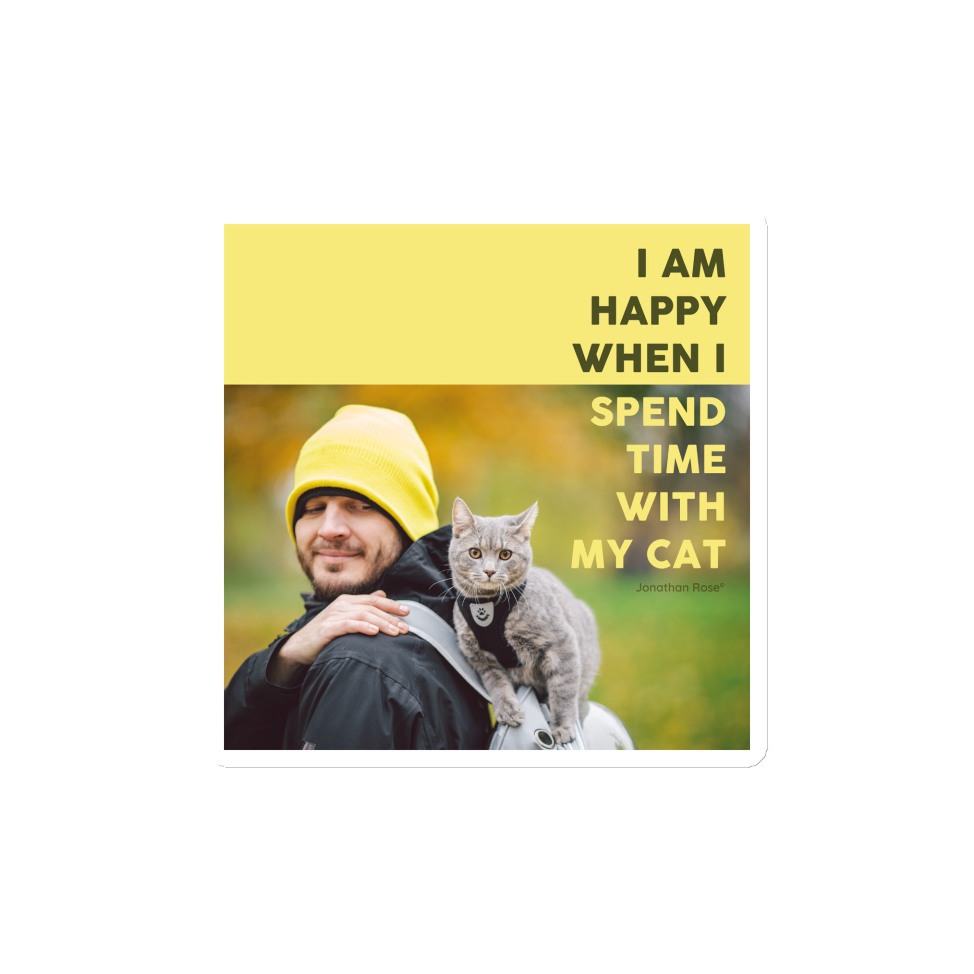 I am happy when I spend time with my cat Magnet - Image 2