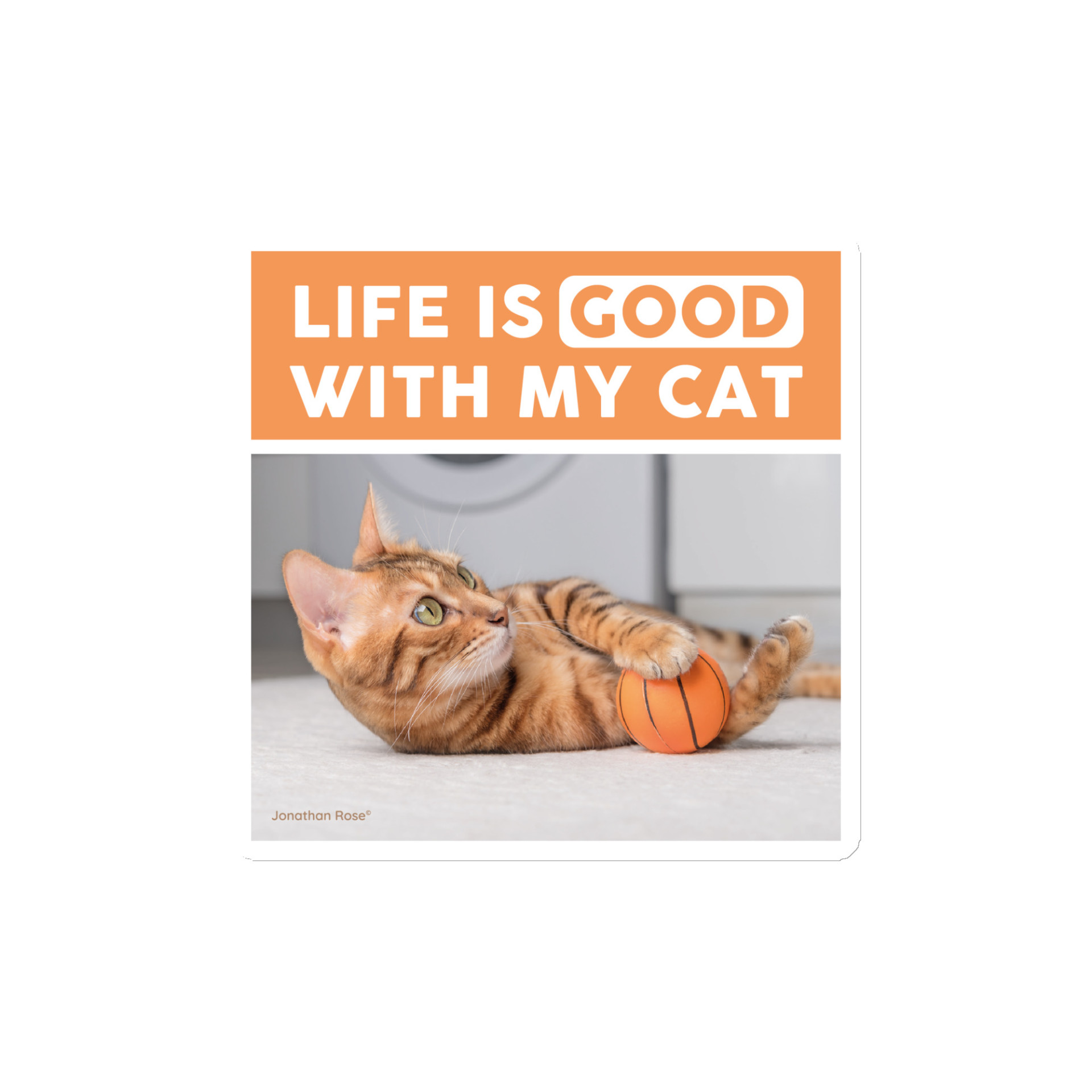 Life is good with my cat Magnet - Image 2