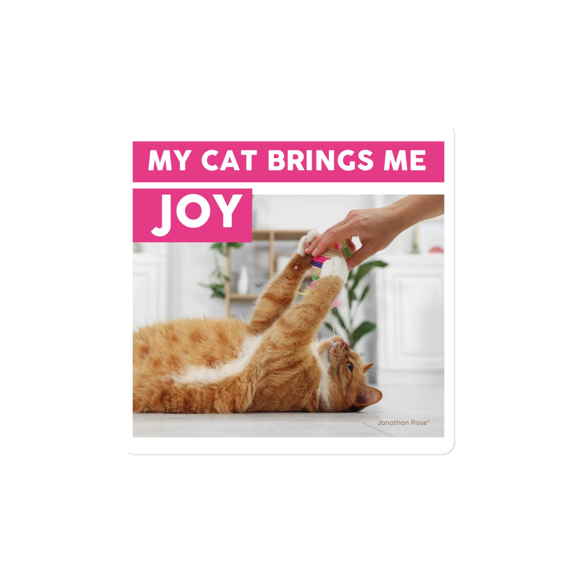 My cat brings me joy Magnet - Image 2