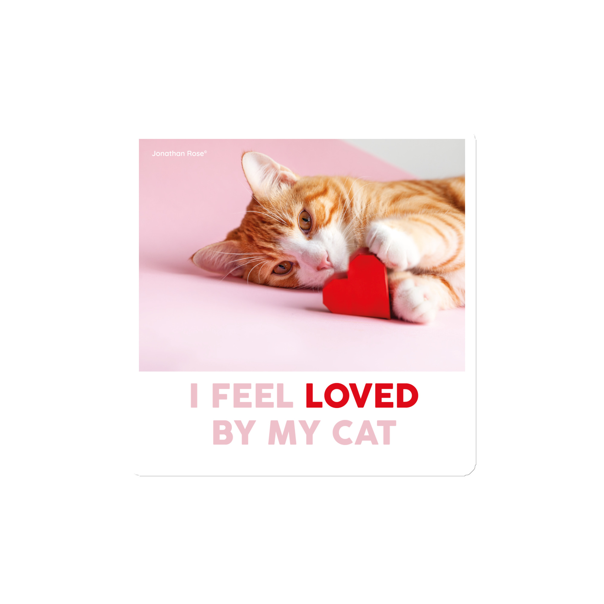 I feel loved by my cat Magnet - Image 2