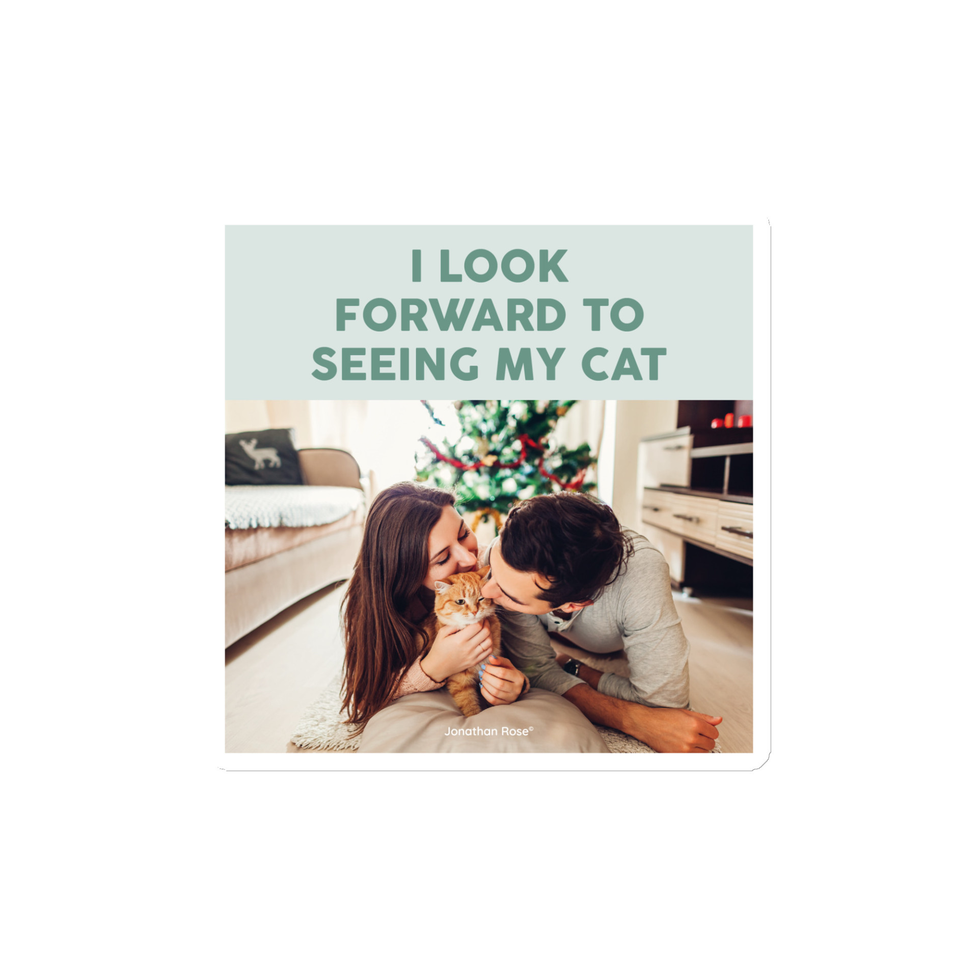 I look forward to seeing my cat Magnet - Image 2