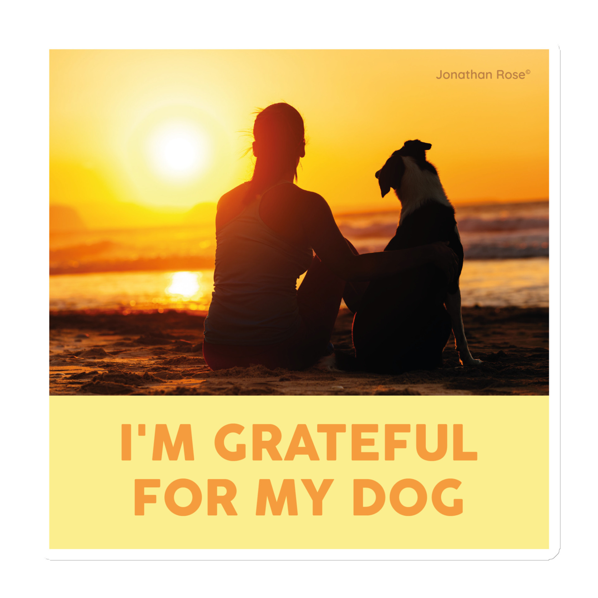 I'm grateful for my dog Magnet