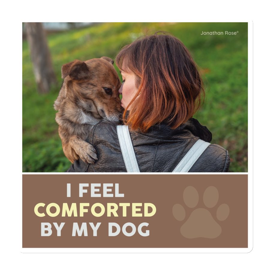 I feel comforted by my dog Magnet