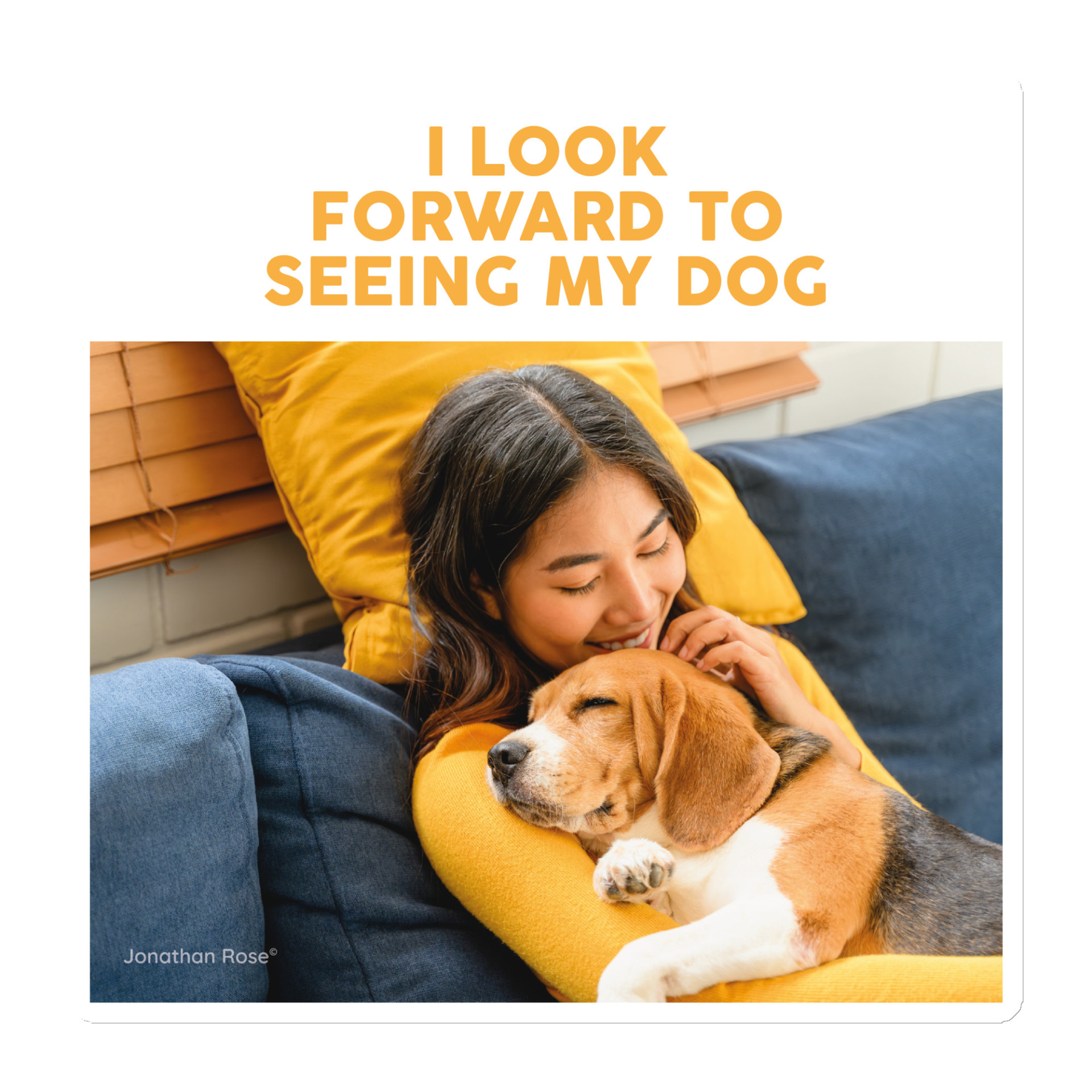 I look forward to seeing my dog Magnet