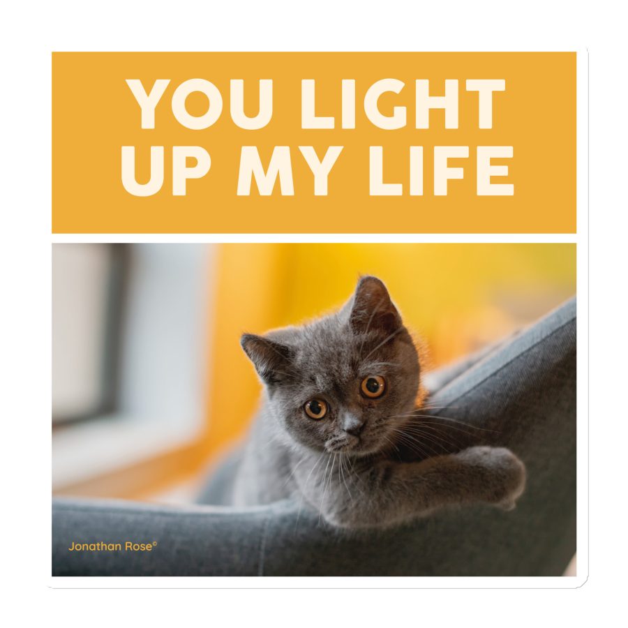 You light up my life - cat Magnet
