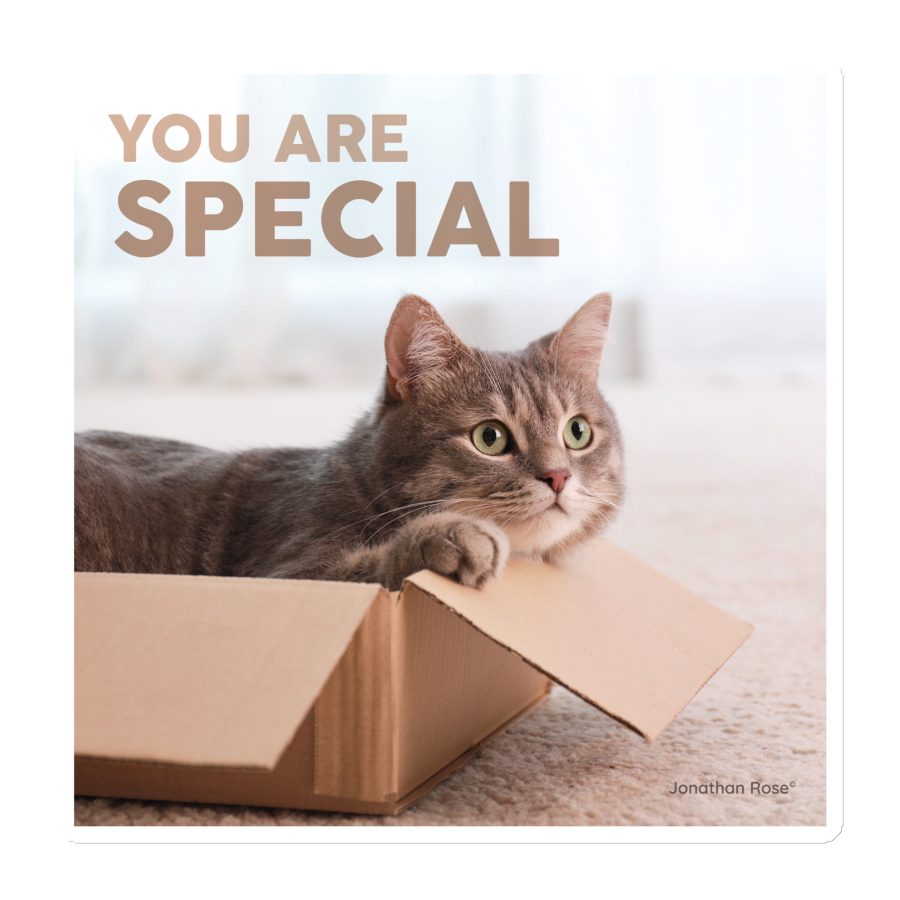 You are special - cat Magnet