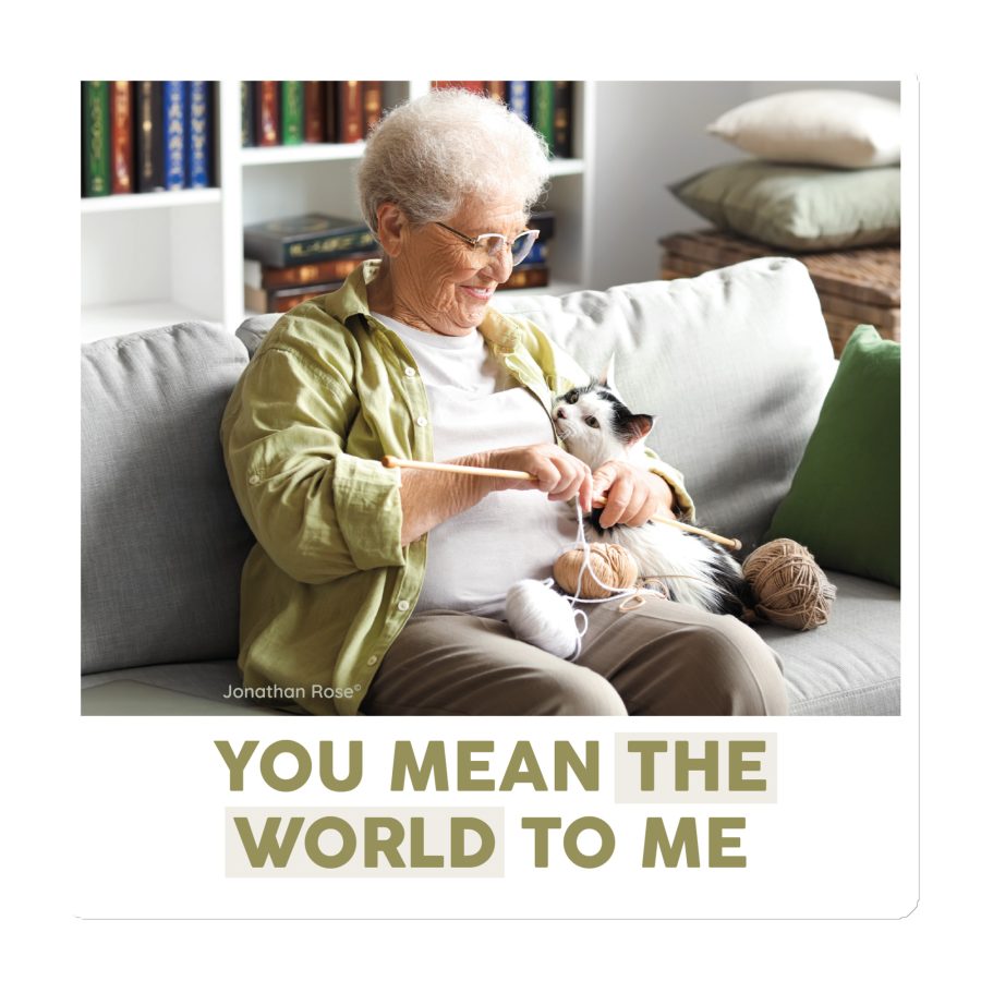 You mean the world to me - cat Magnet