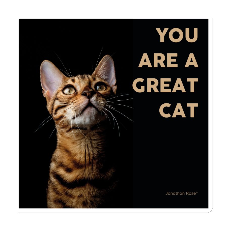 You are a great cat Magnet