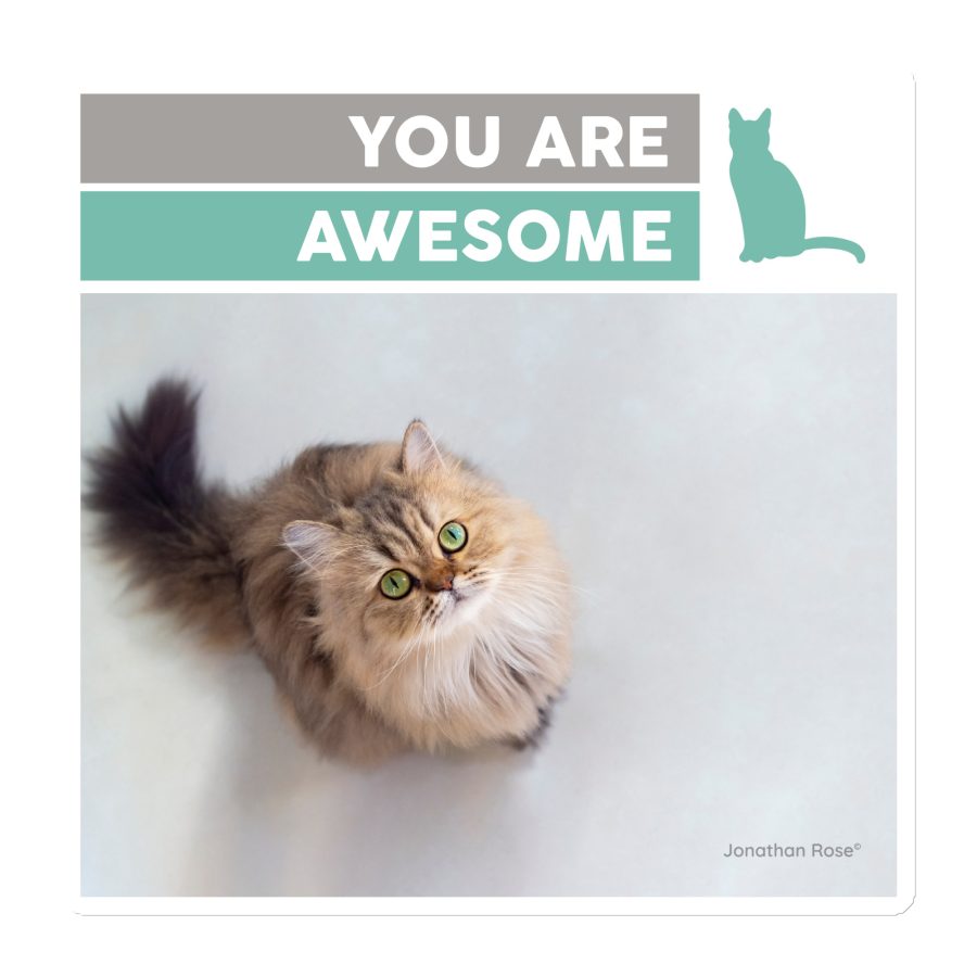 You are awesome Magnet