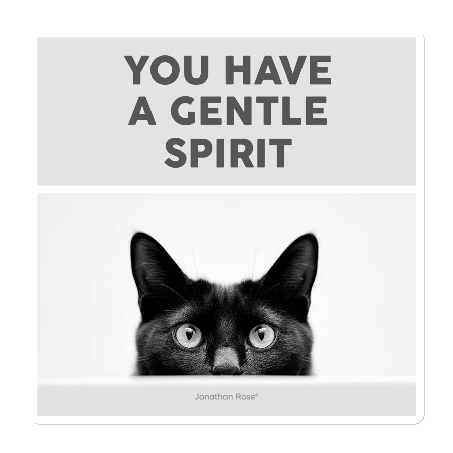 You have a gentle spirit - cat Magnet
