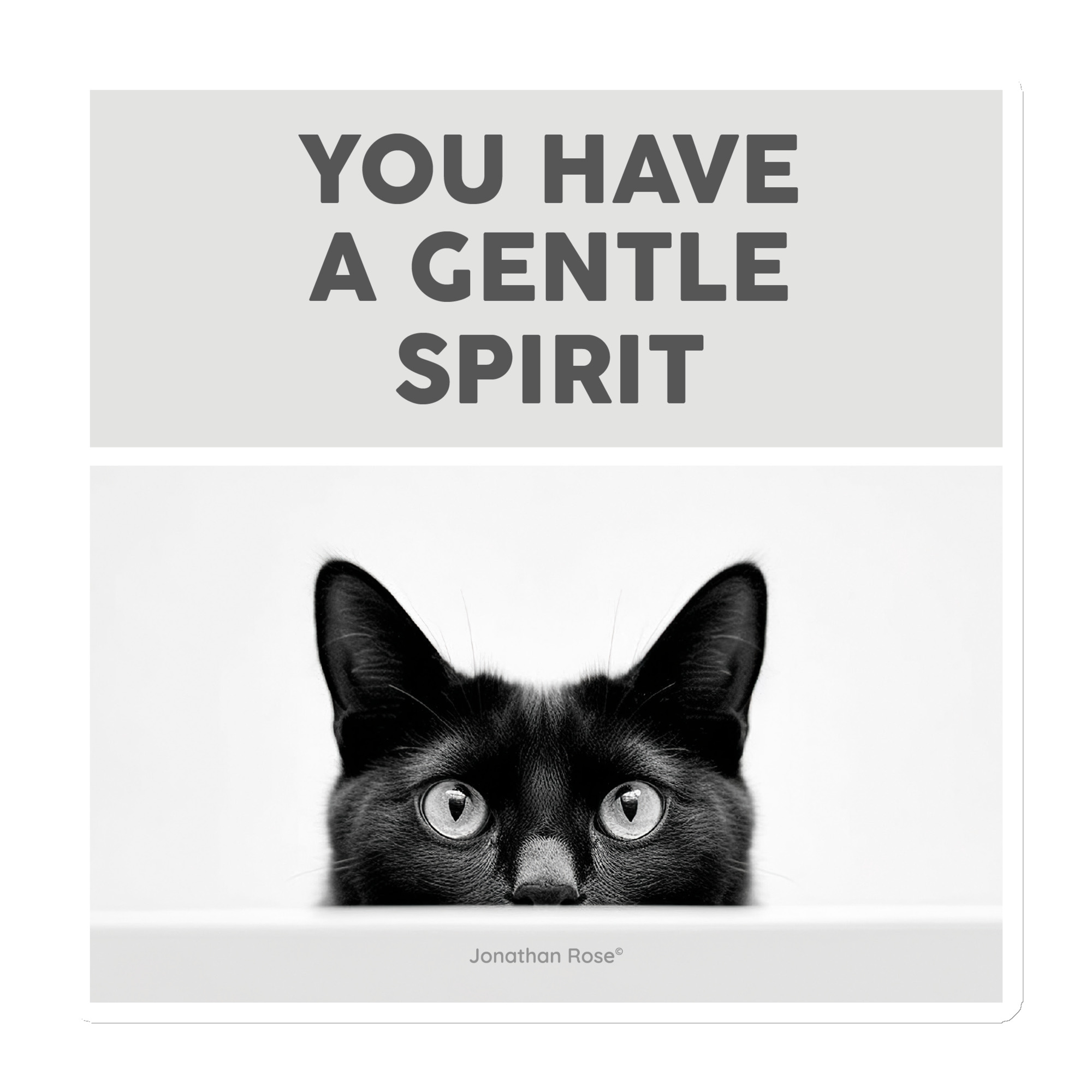 You have a gentle spirit - cat Magnet