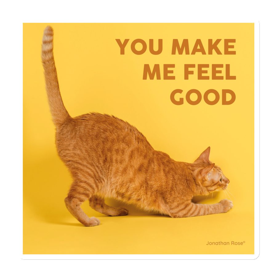 You make me feel good - cat Magnet