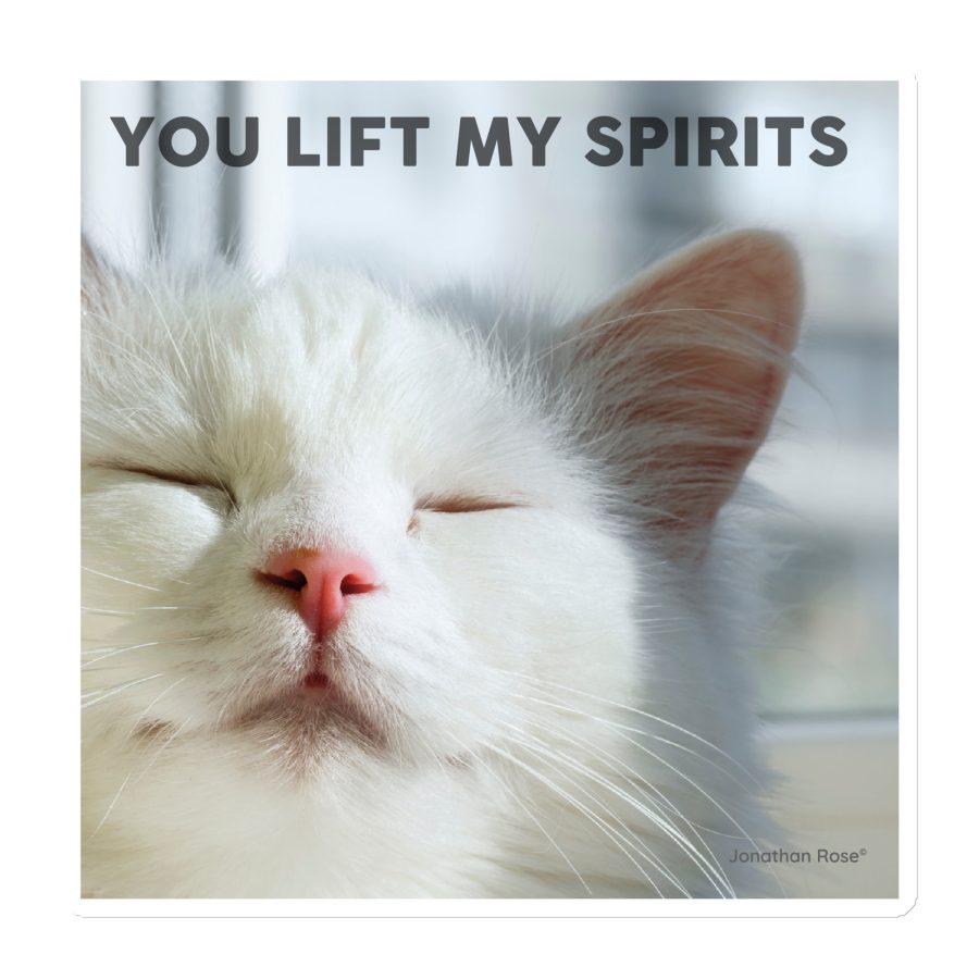 You lift my spirits - cat Magnet