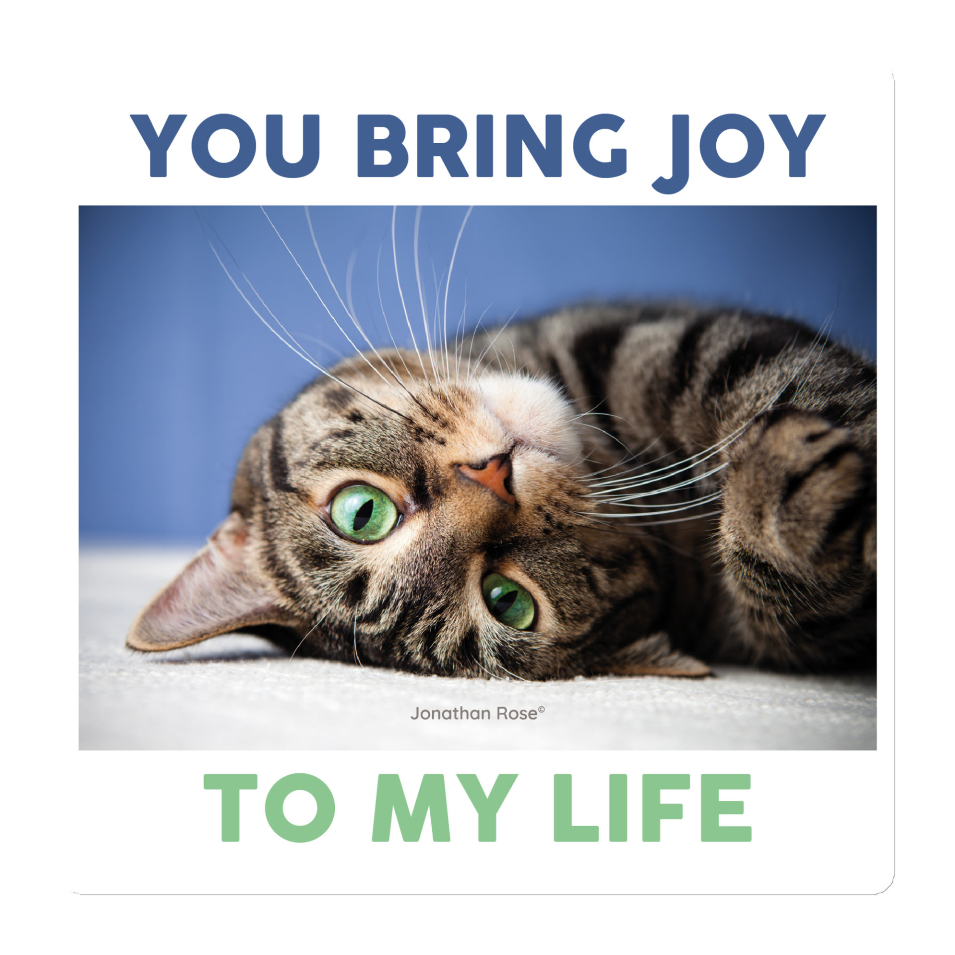 You bring joy to my life - cat Magnet