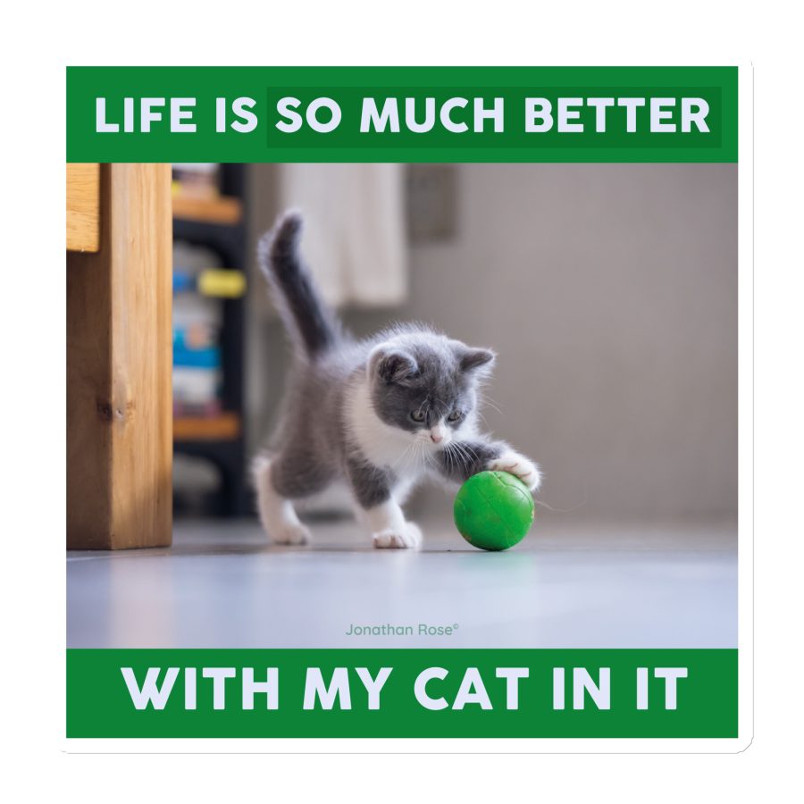 Life is so much better with my cat in it Magnet