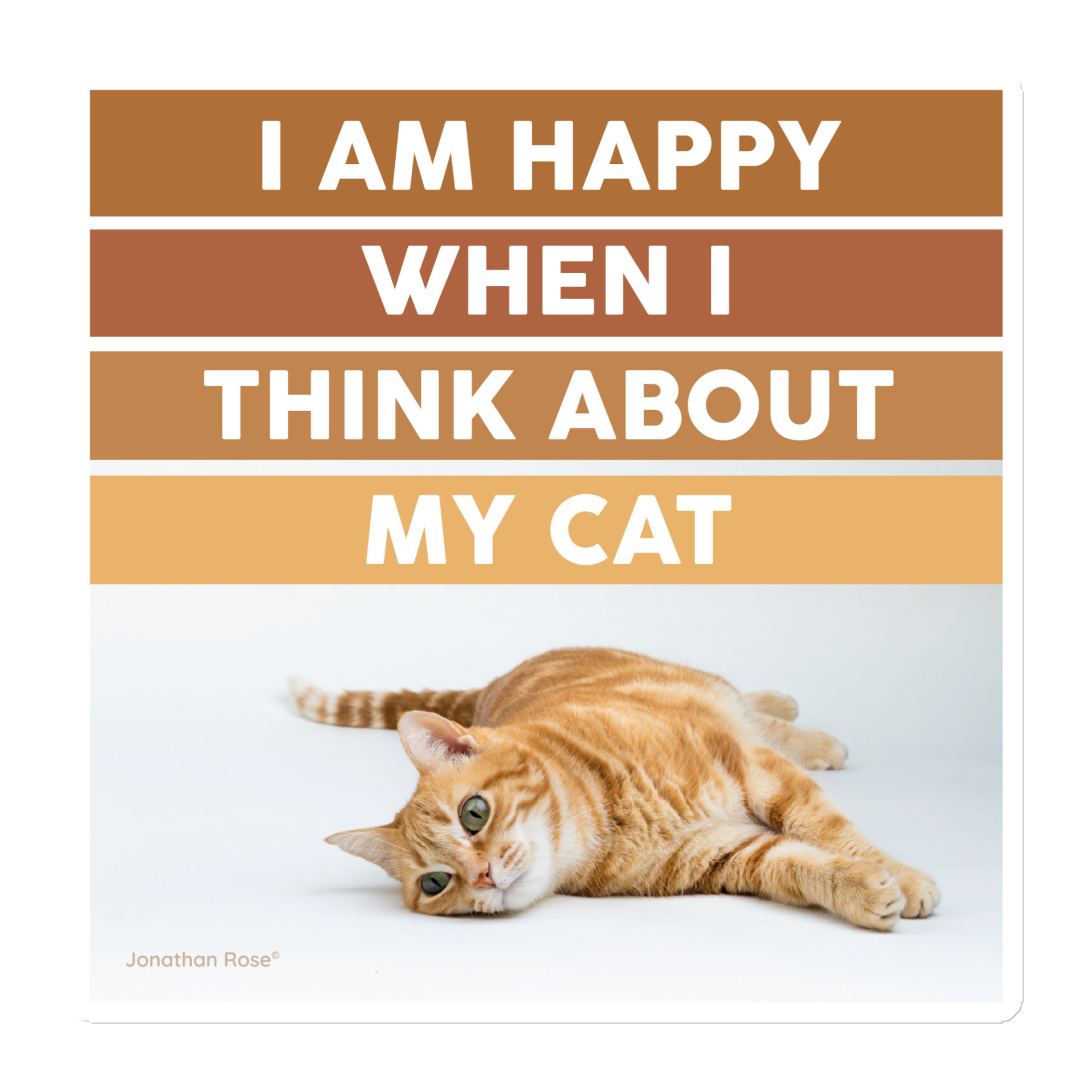 Iam happy when I think about my cat Magnet