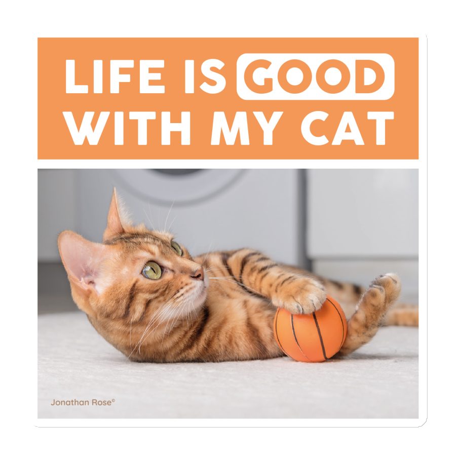 Life is good with my cat Magnet
