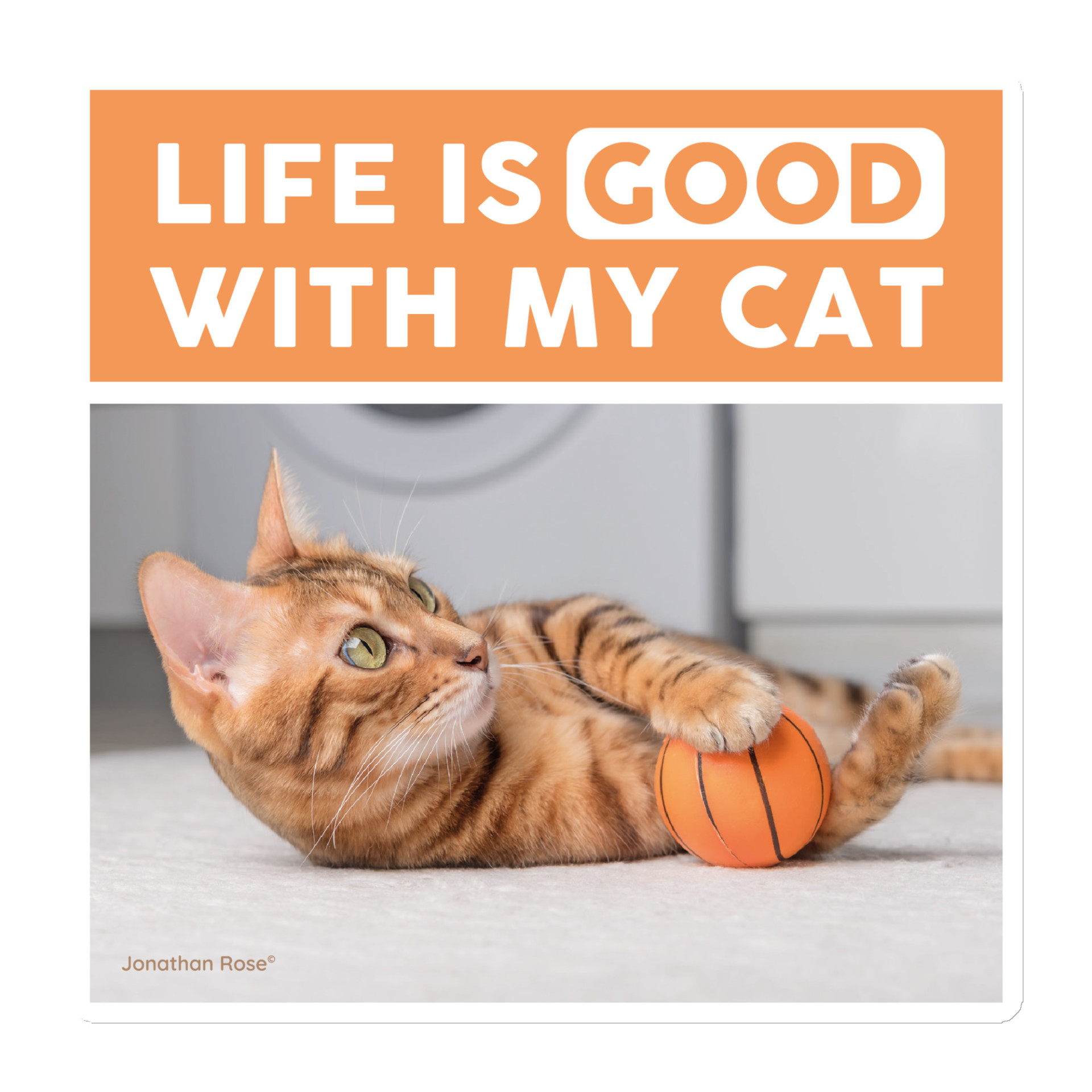 Life is good with my cat Magnet