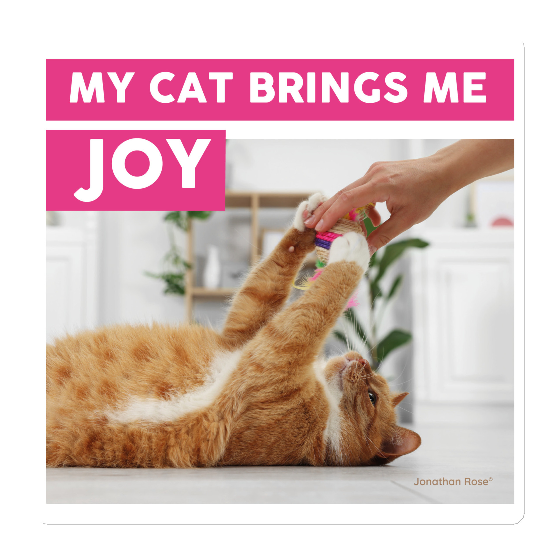 My cat brings me joy Magnet