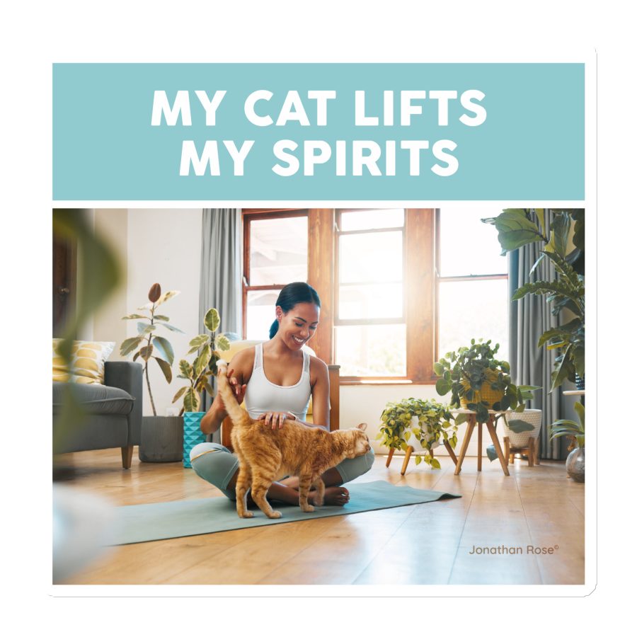 My cat lifts my spirits Magnet