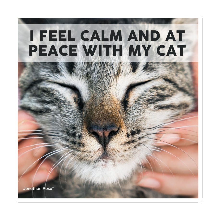 I feel calm and at peace with my cat Magnet
