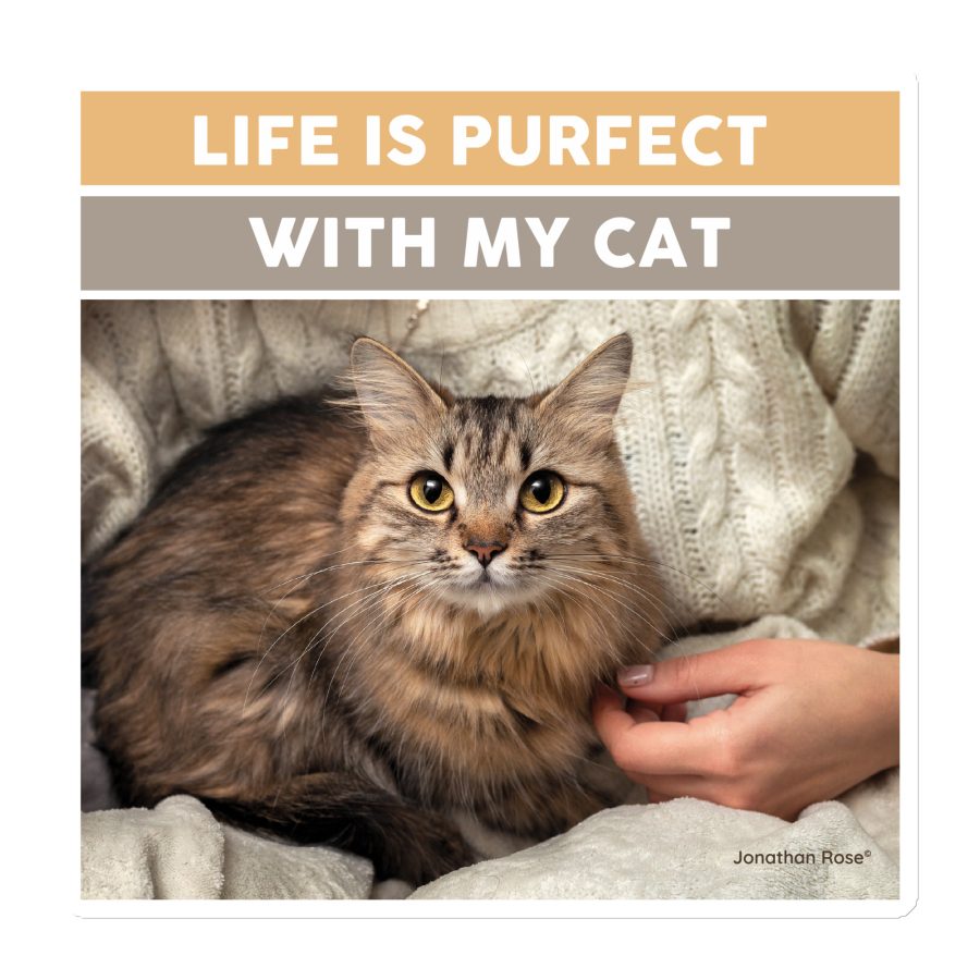 Cat Lovers Affirmations