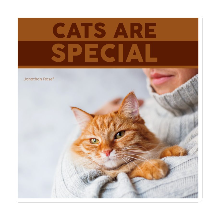 Cats are special Magnet