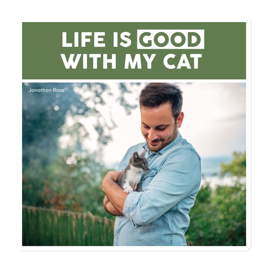 Life is good with my cat Magnet