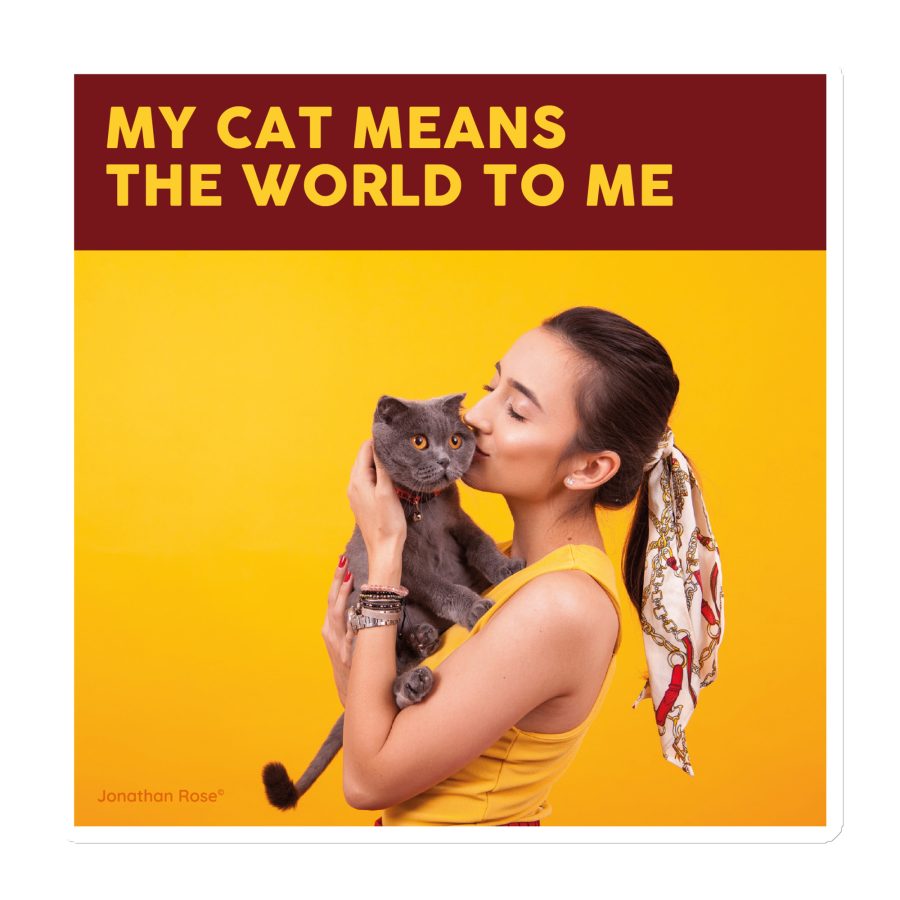 My cat means the world to me Magnet