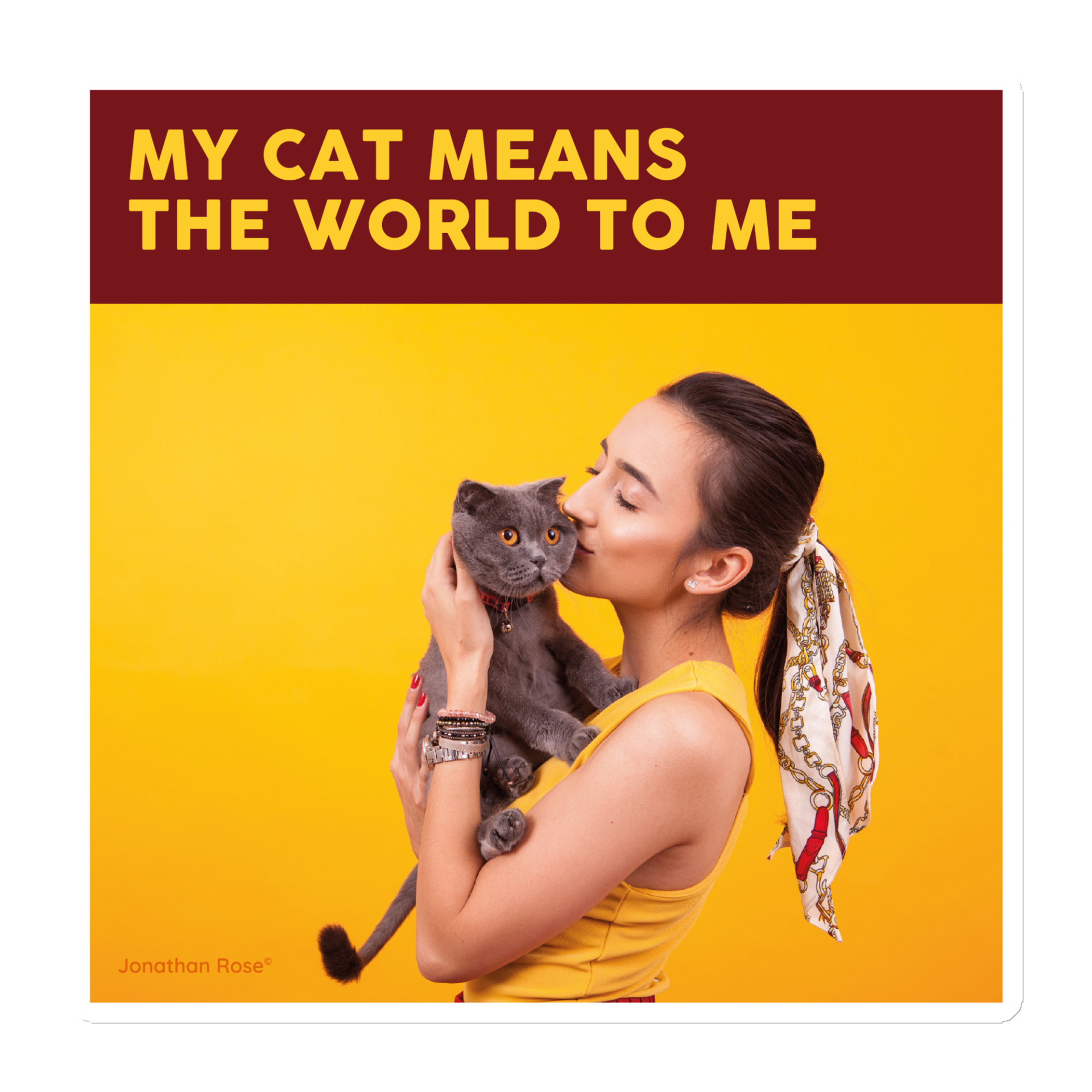 My cat means the world to me Magnet