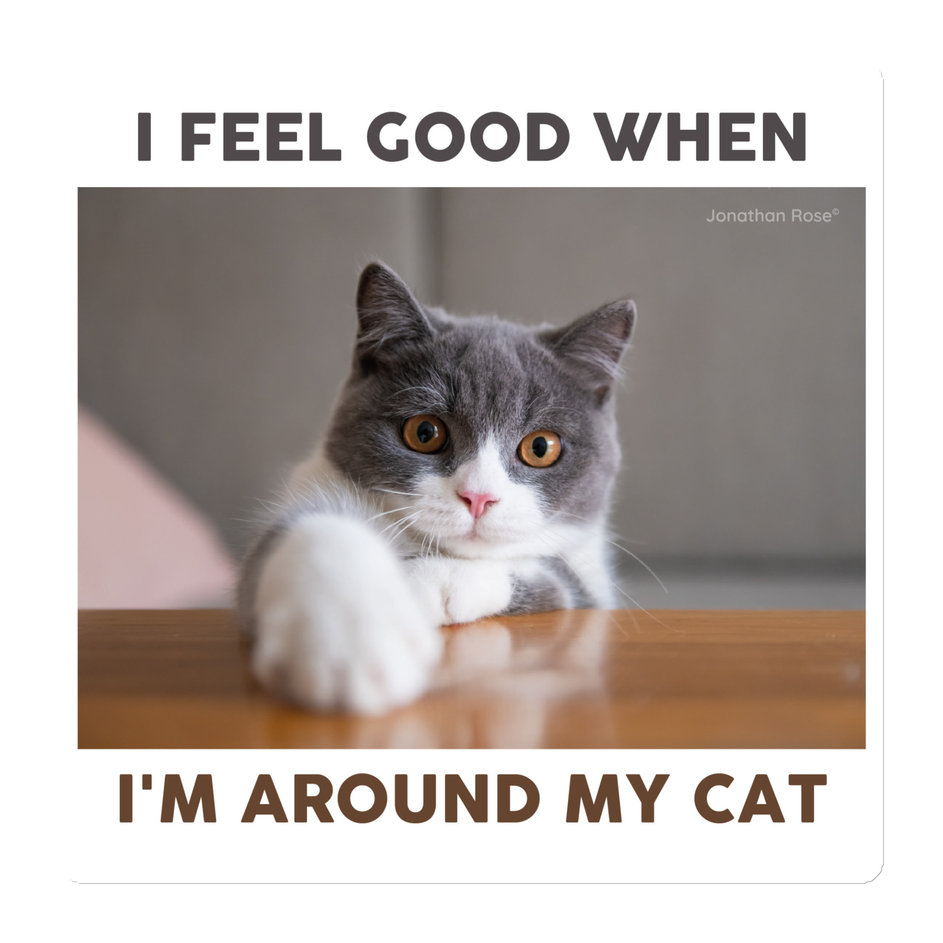 I feel good when Im around my cat Magnet