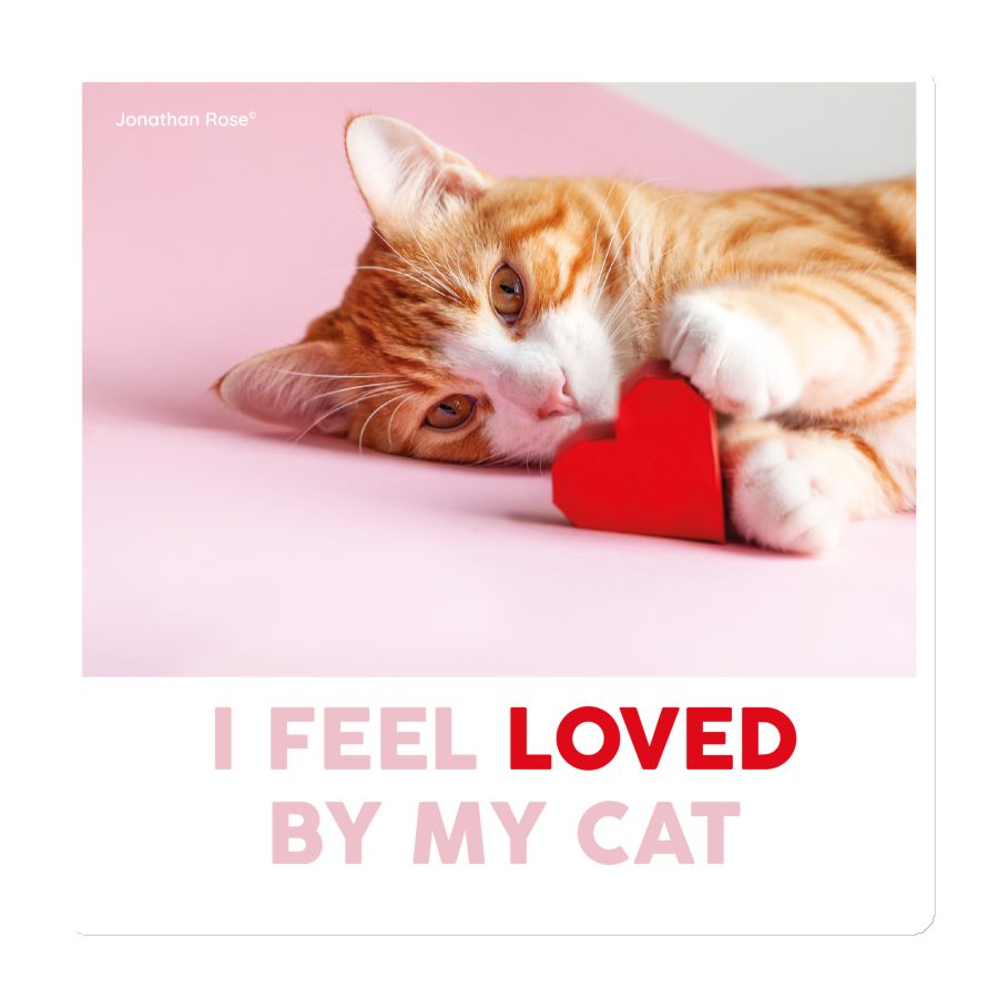 I feel loved by my cat Magnet