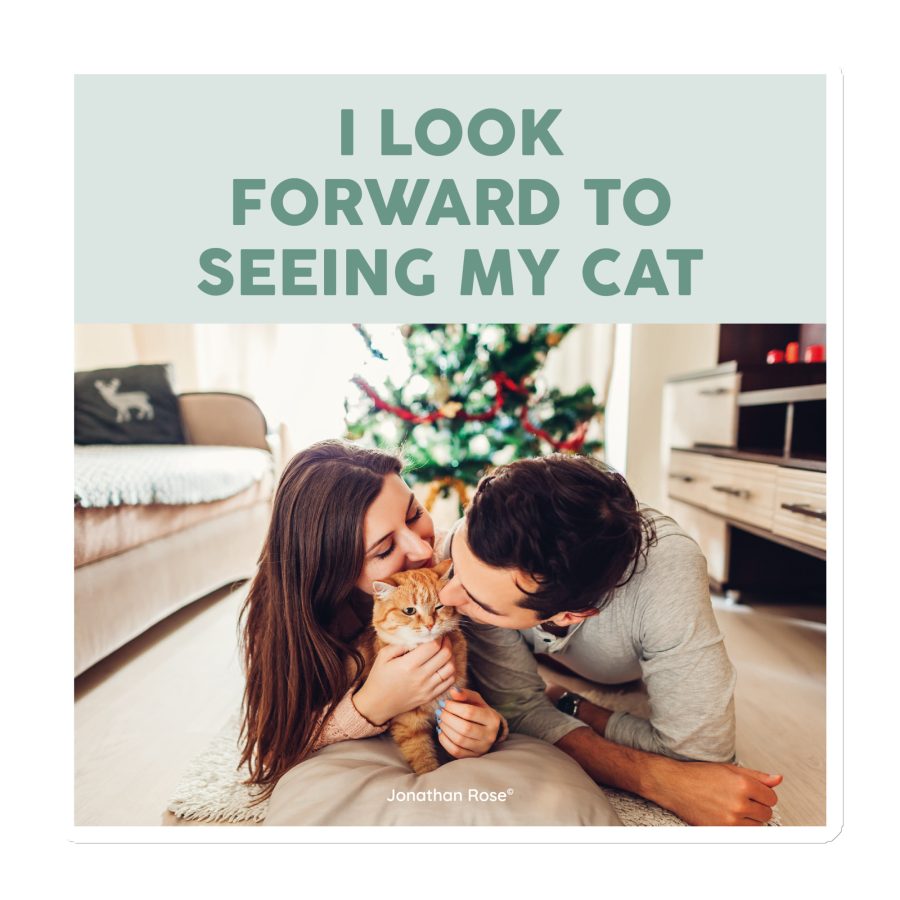I look forward to seeing my cat Magnet
