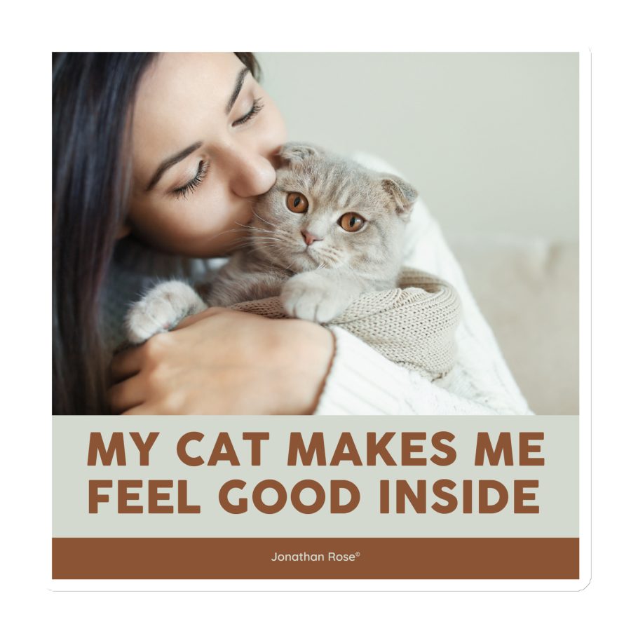 My cat makes me feel good inside Magnet