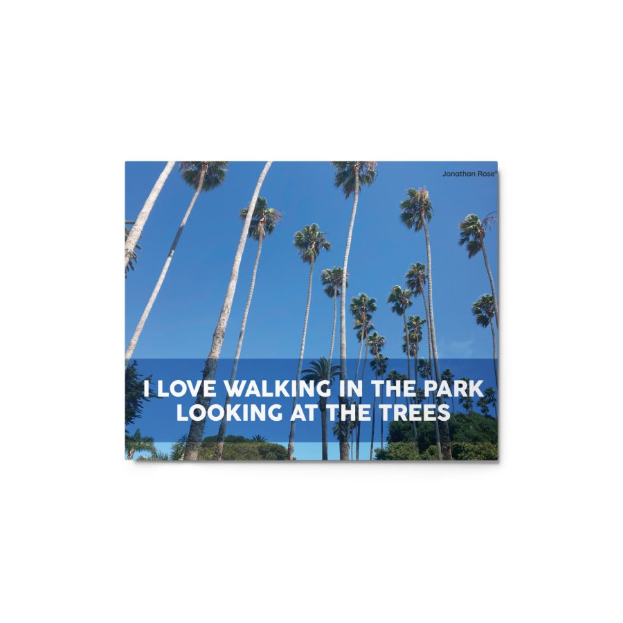 I love walking at the park looking at the trees