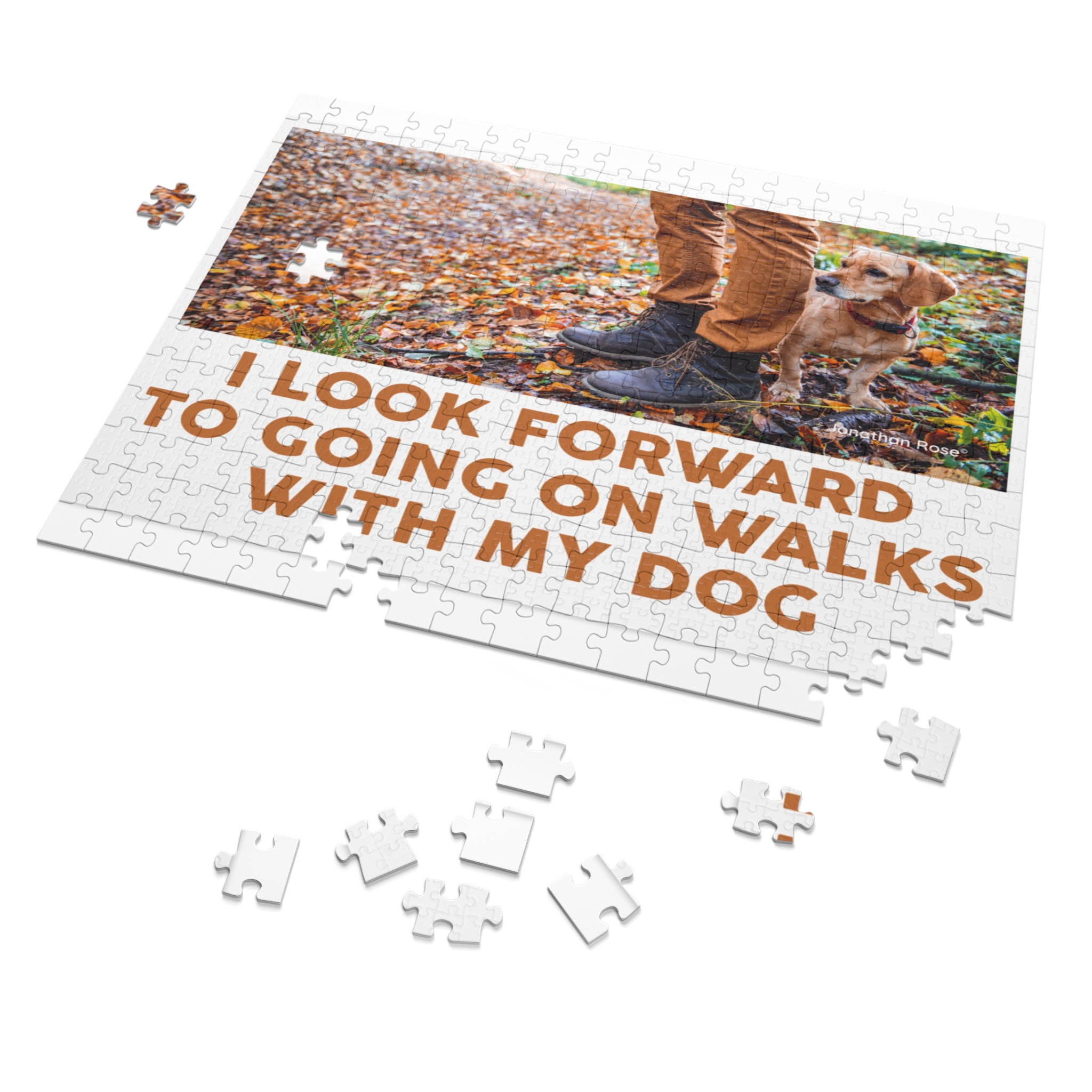 Going on walks with my dog - Image 2