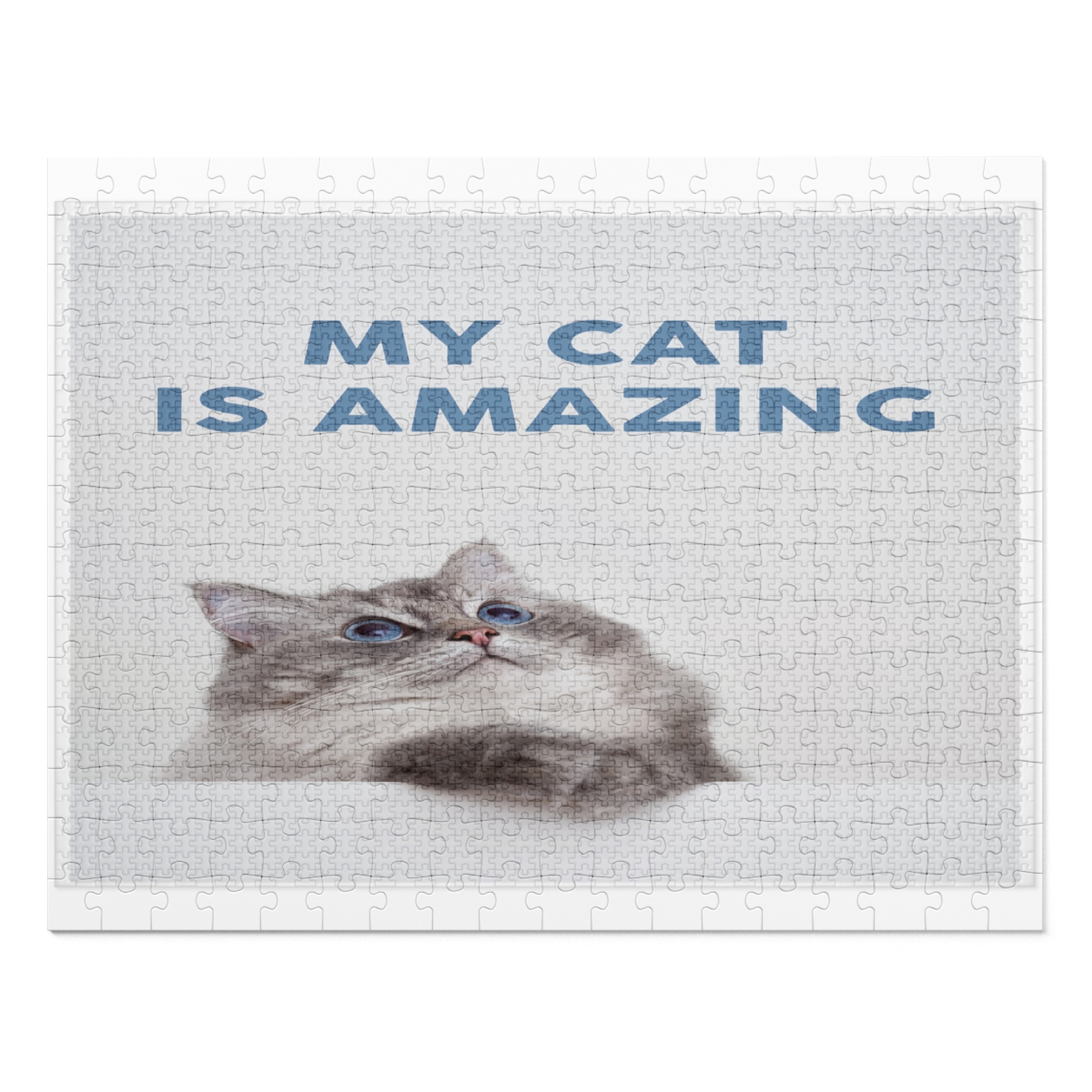 My cat is amazing