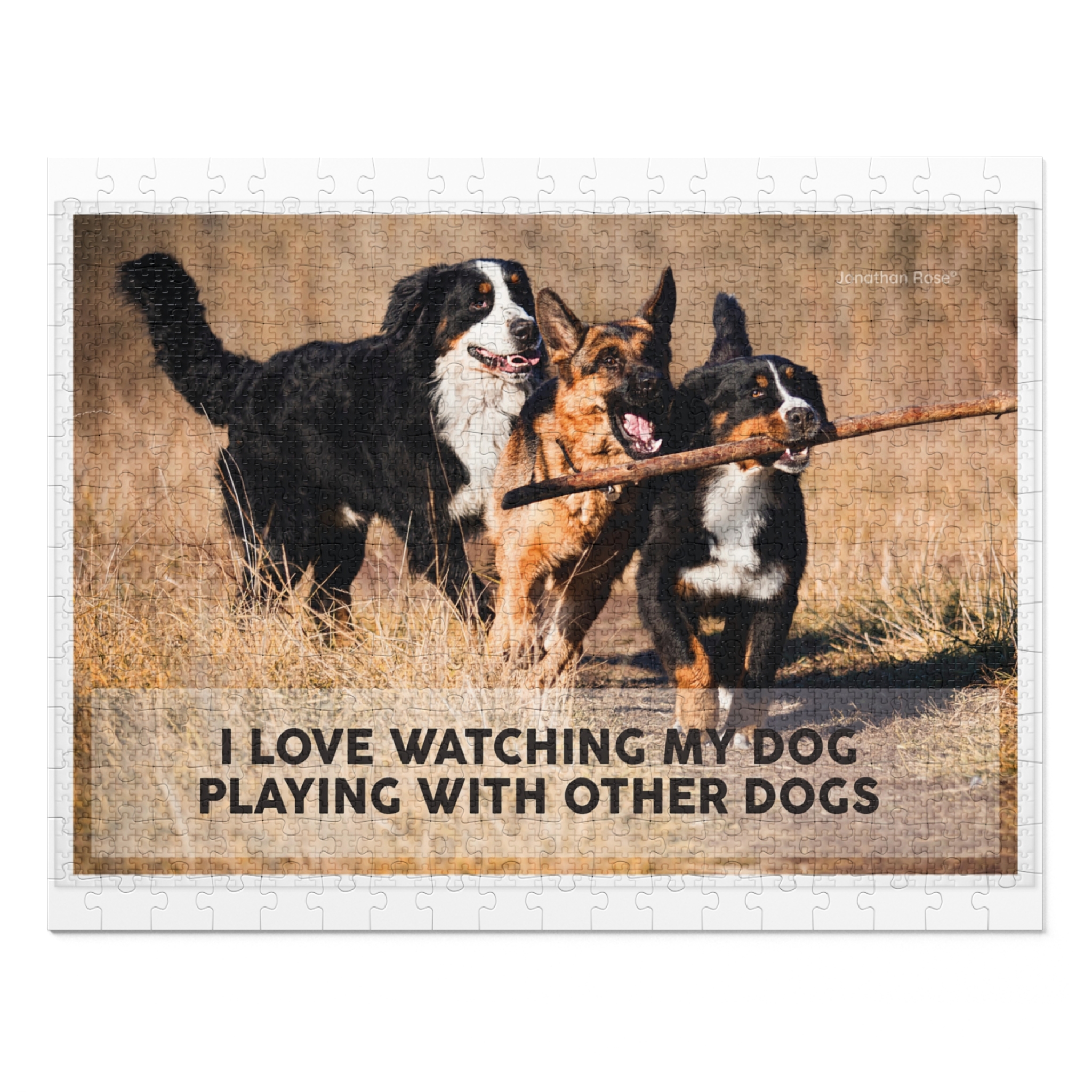 I love watching my dogs playing with other dogs