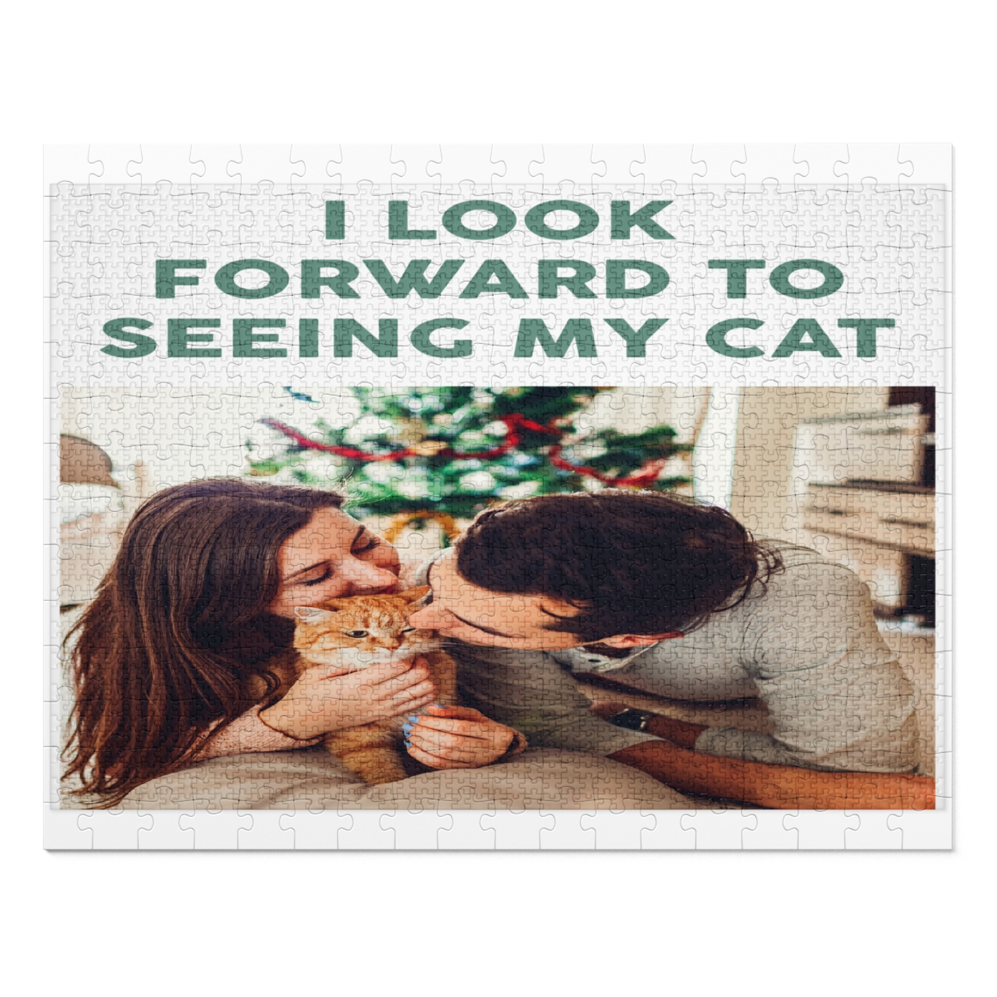I look forward to seeing my cat