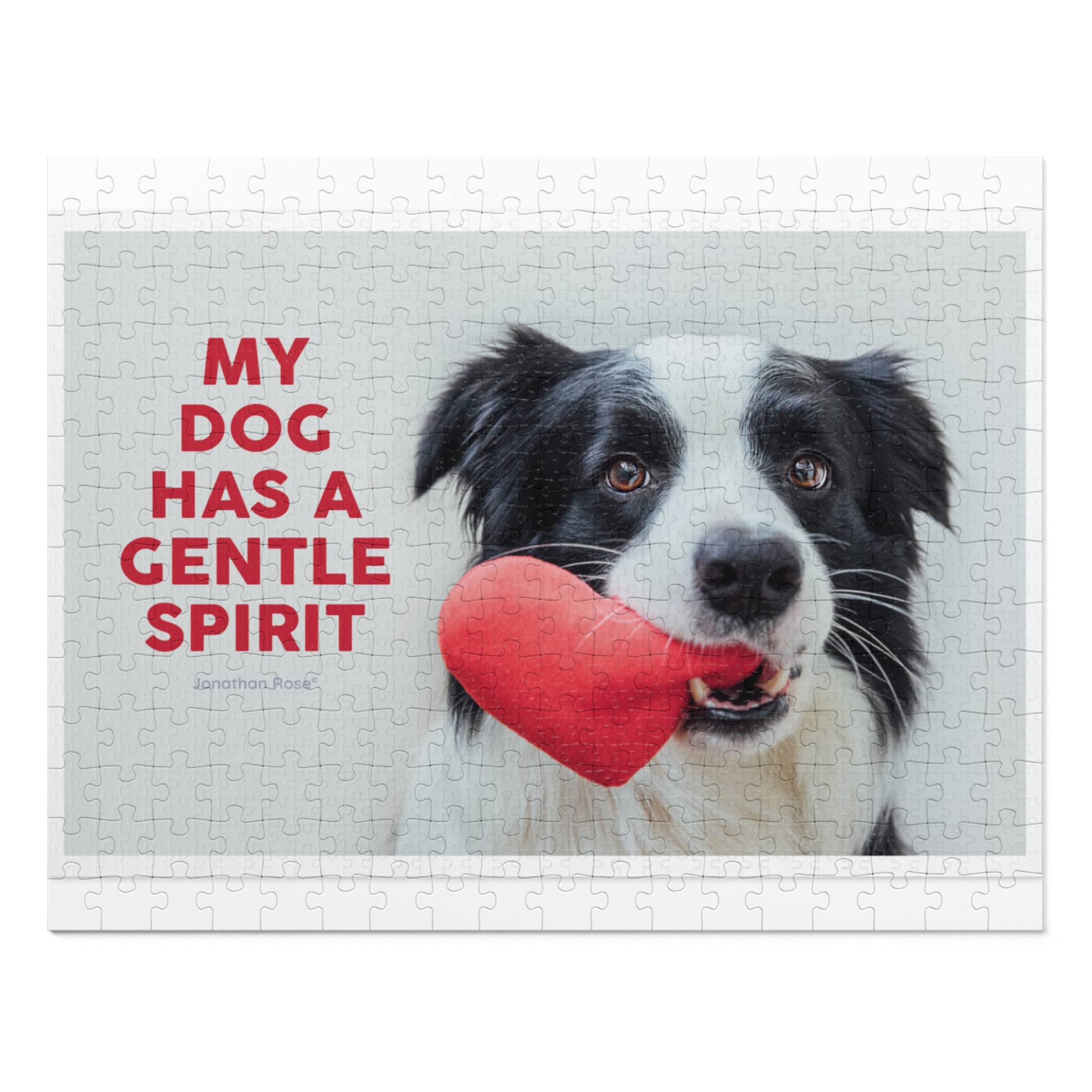 My dog has a gentle spirit