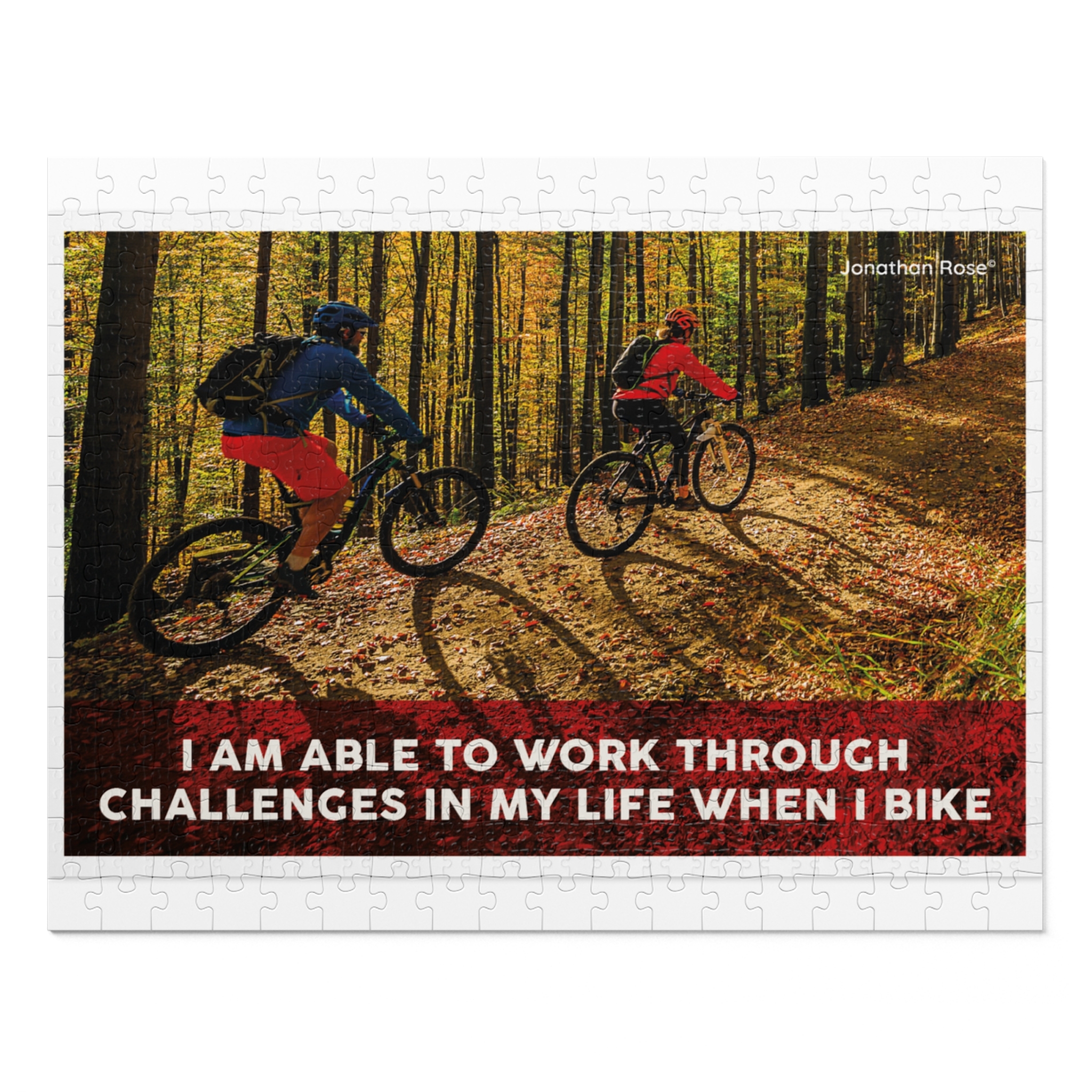 I am able to work through challenges in my life