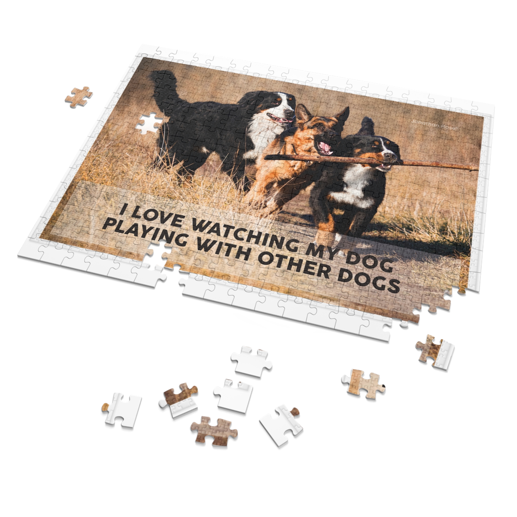 I love watching my dogs playing with other dogs - Image 2
