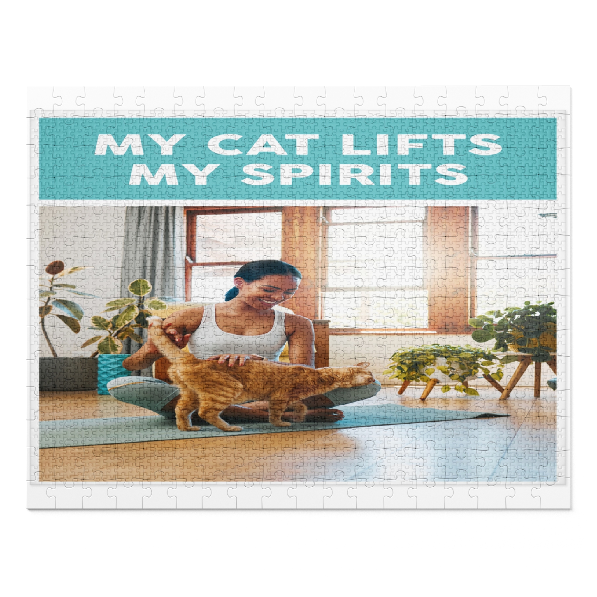 My cat lifts my spirit