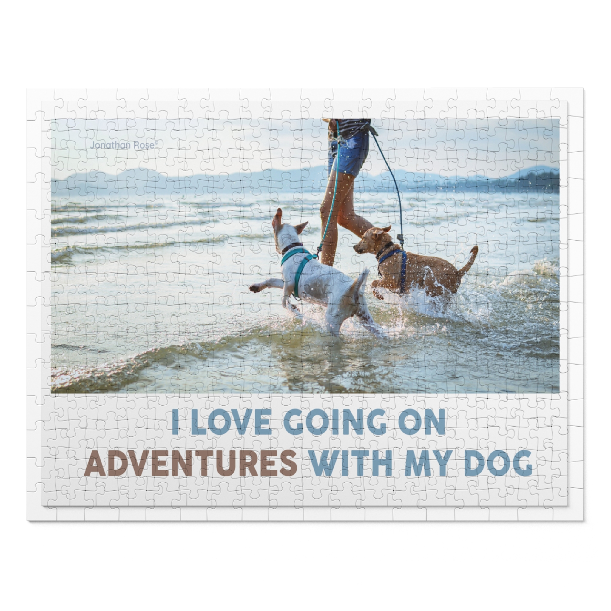 Adventures with my dog
