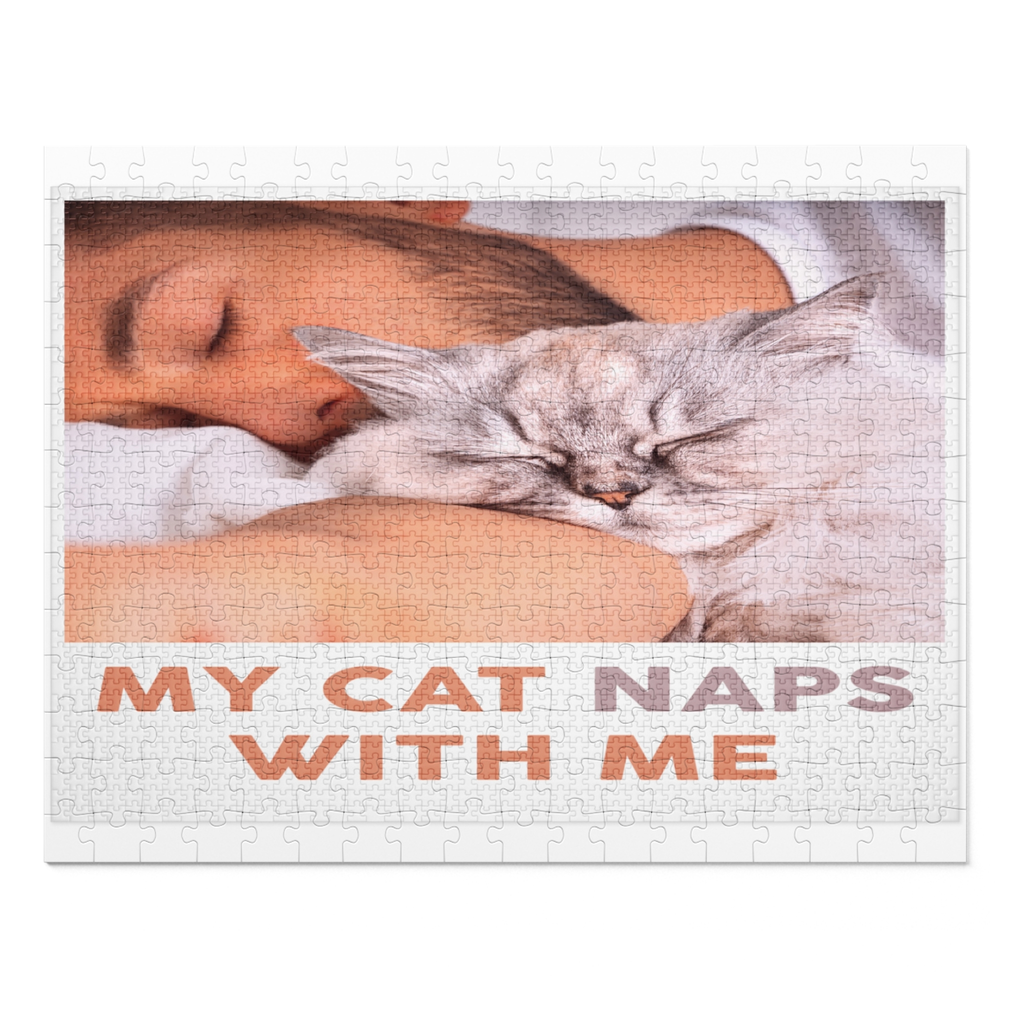 My cat naps with me
